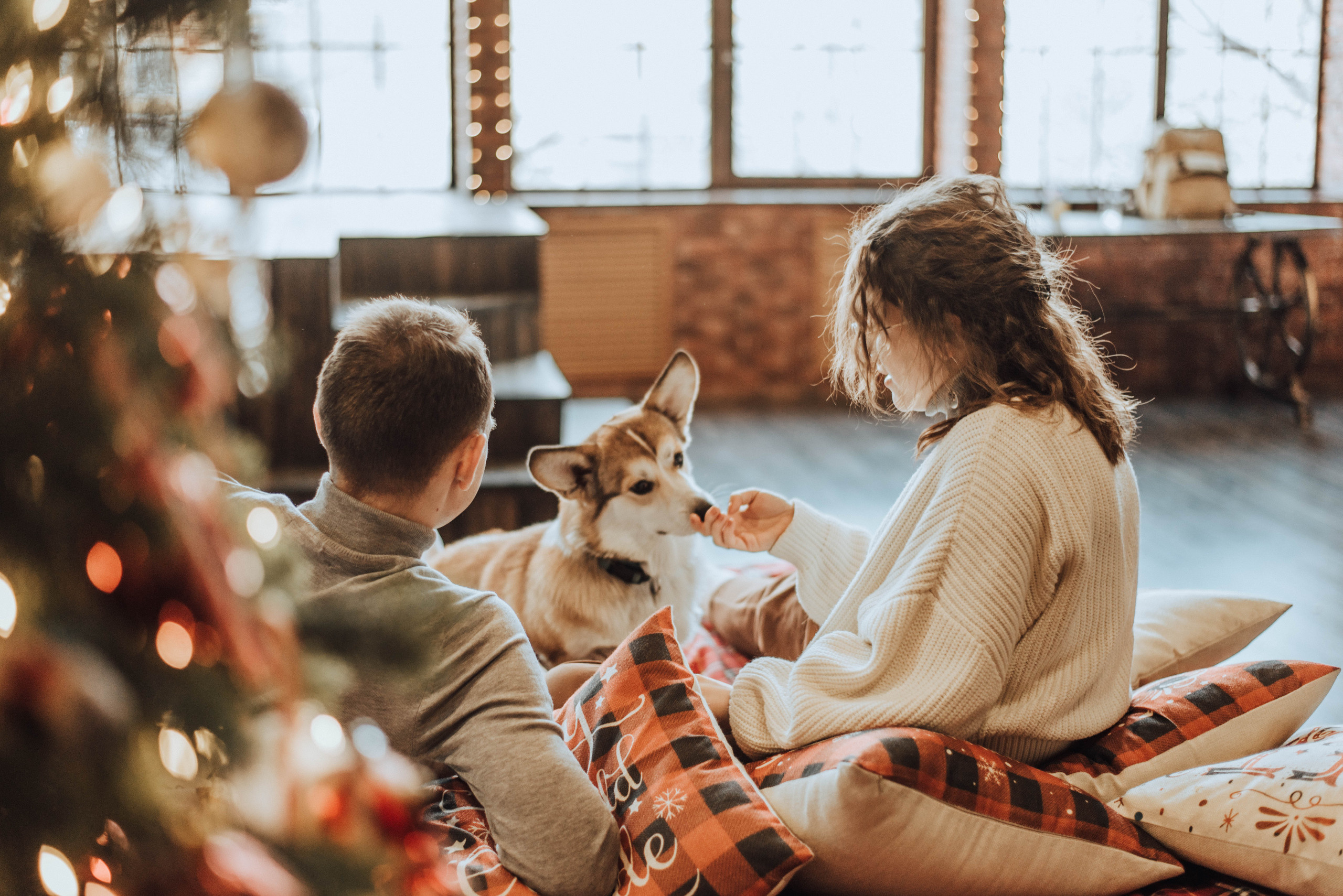 Саша и Таня. Свадебный и семейный фотограф в Чите Юлия Оранская