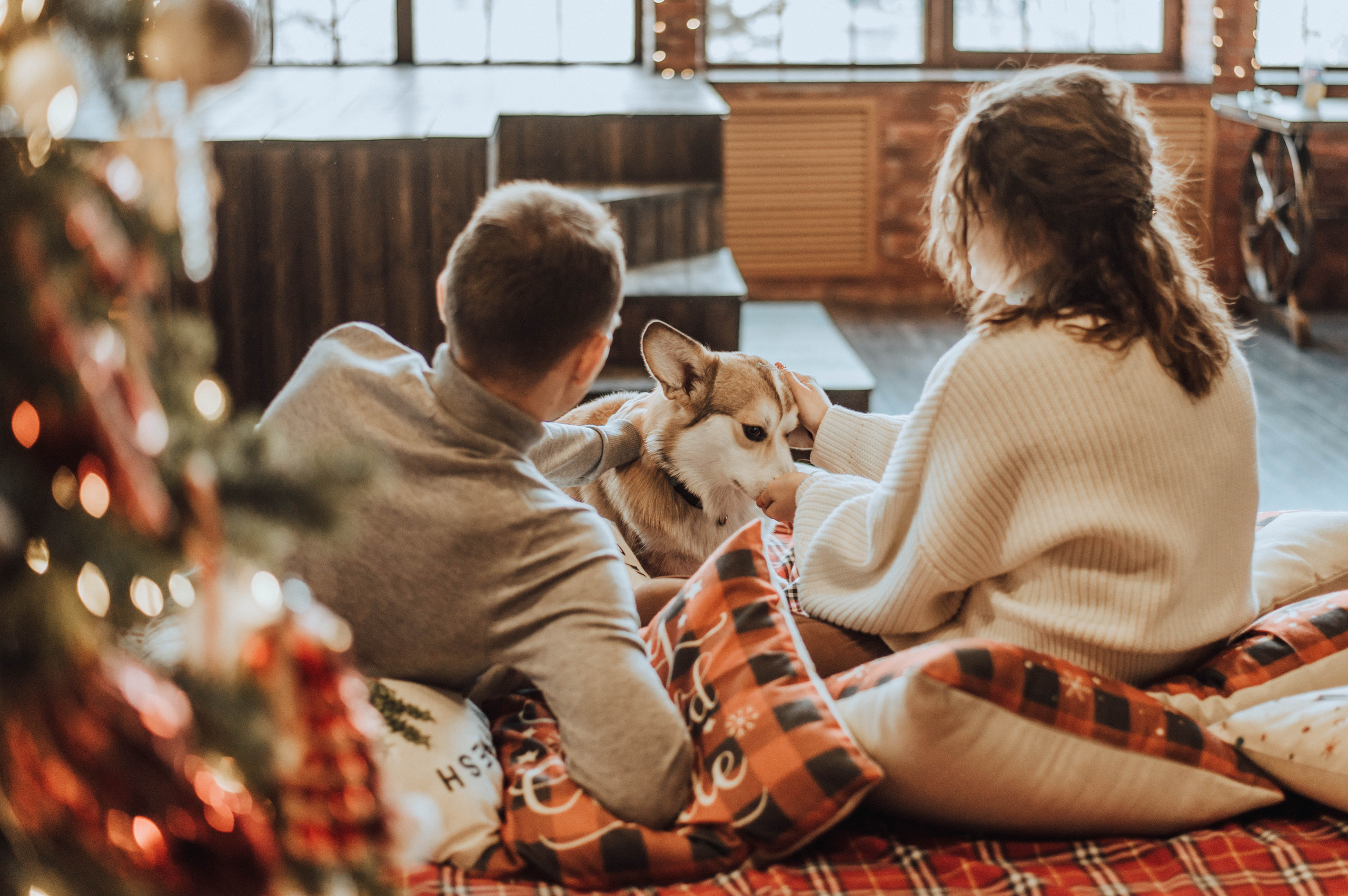 Саша и Таня. Свадебный и семейный фотограф в Чите Юлия Оранская