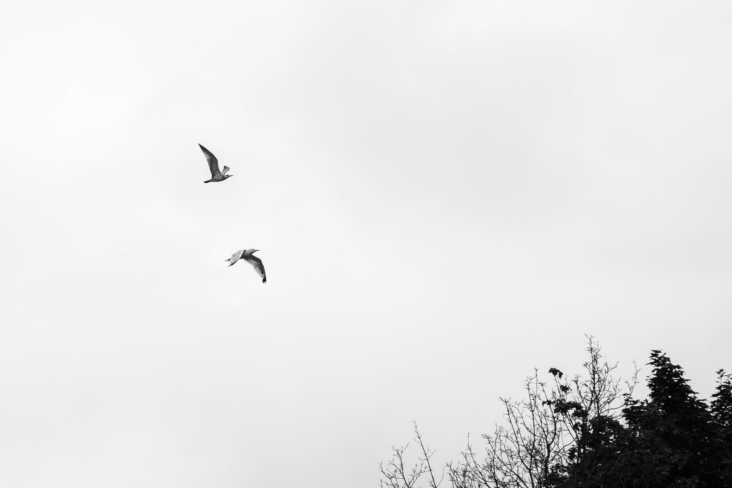 Добро пожаловать в любовь. Свадебный фотограф Москва и МО