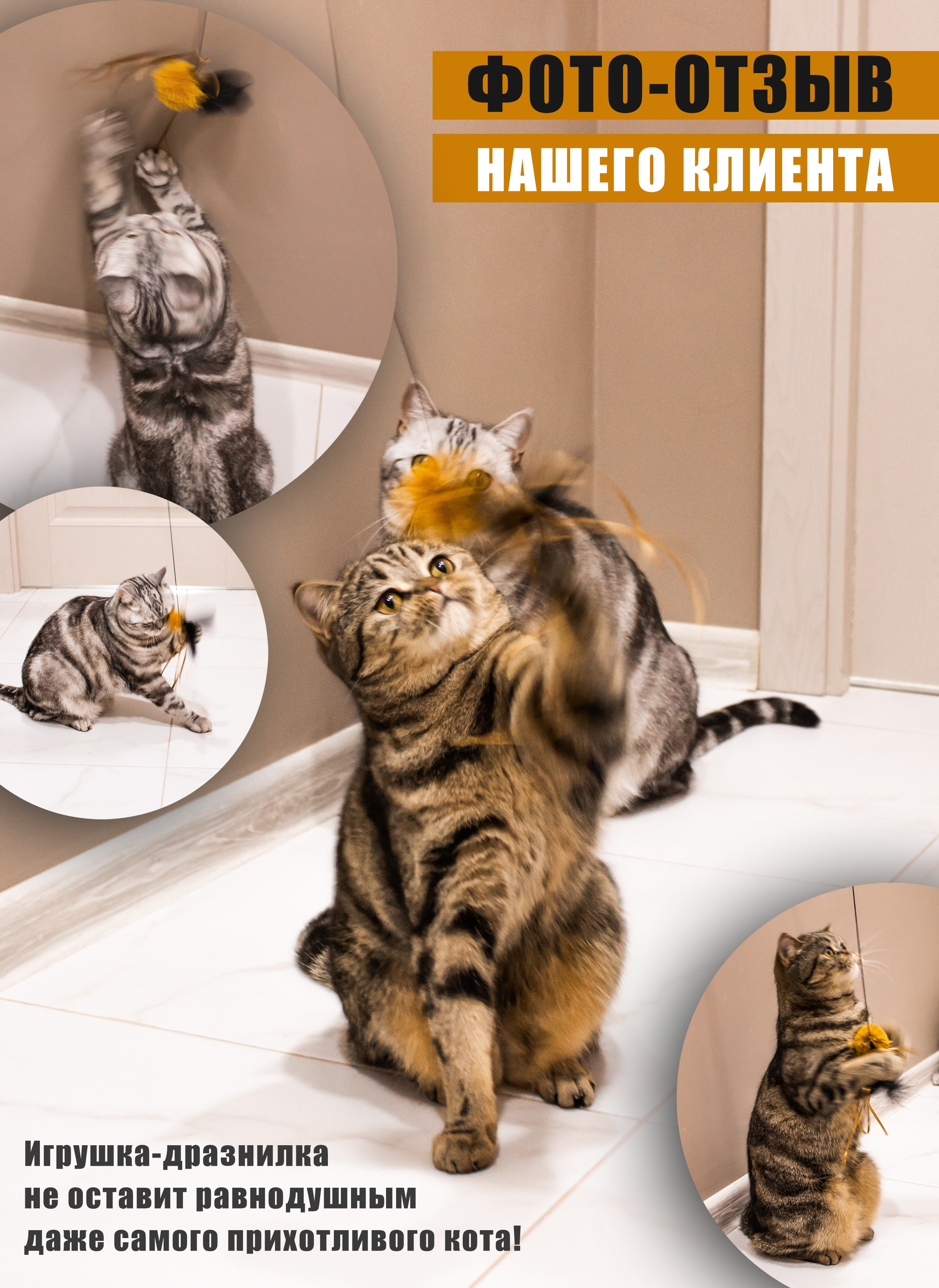 WILDBERRIES. ФОТОГРАФ АЛИНА ФОКА