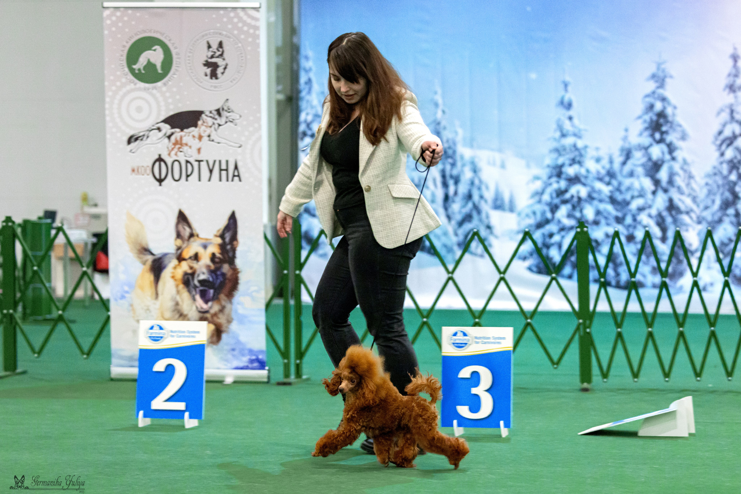 Крокус 3,9 и 10.12.2023. Фотограф-анималист Юлия Германика