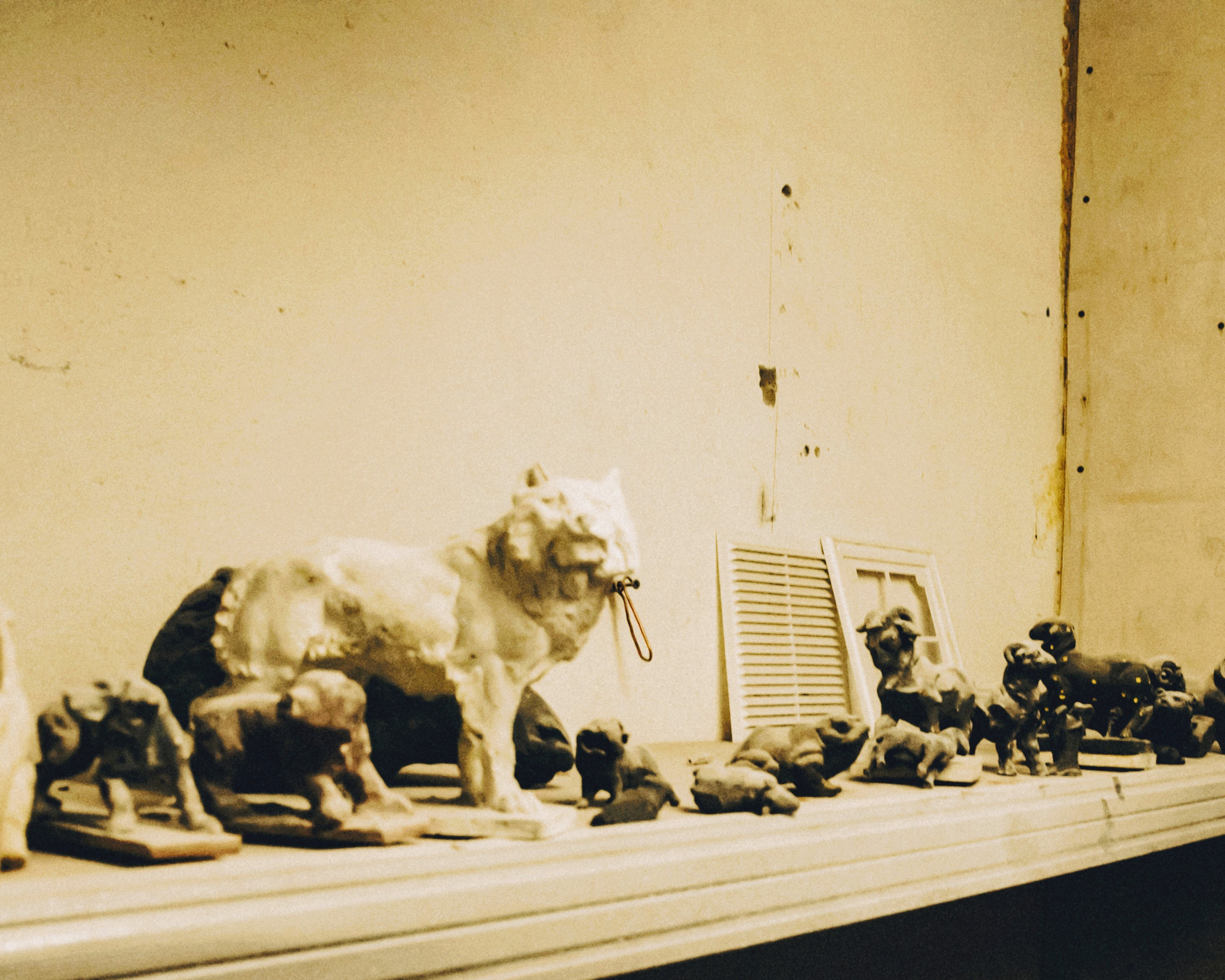 Юля. Портретный фотограф Ванинен Анастасия. Санкт-Петербург