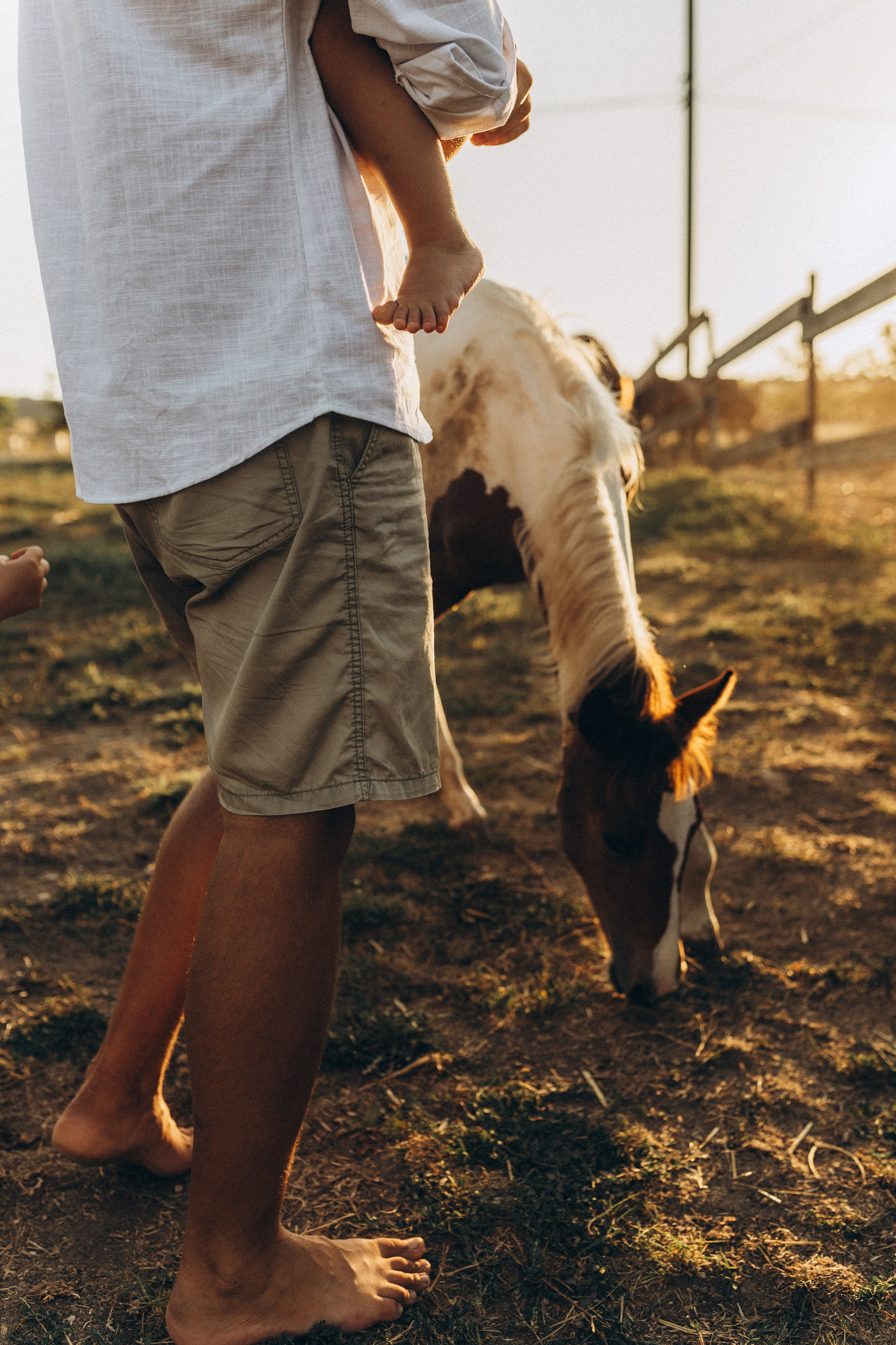 На ферме. Семейный фотограф в Новороссийске и Анапе Александра Яковлева