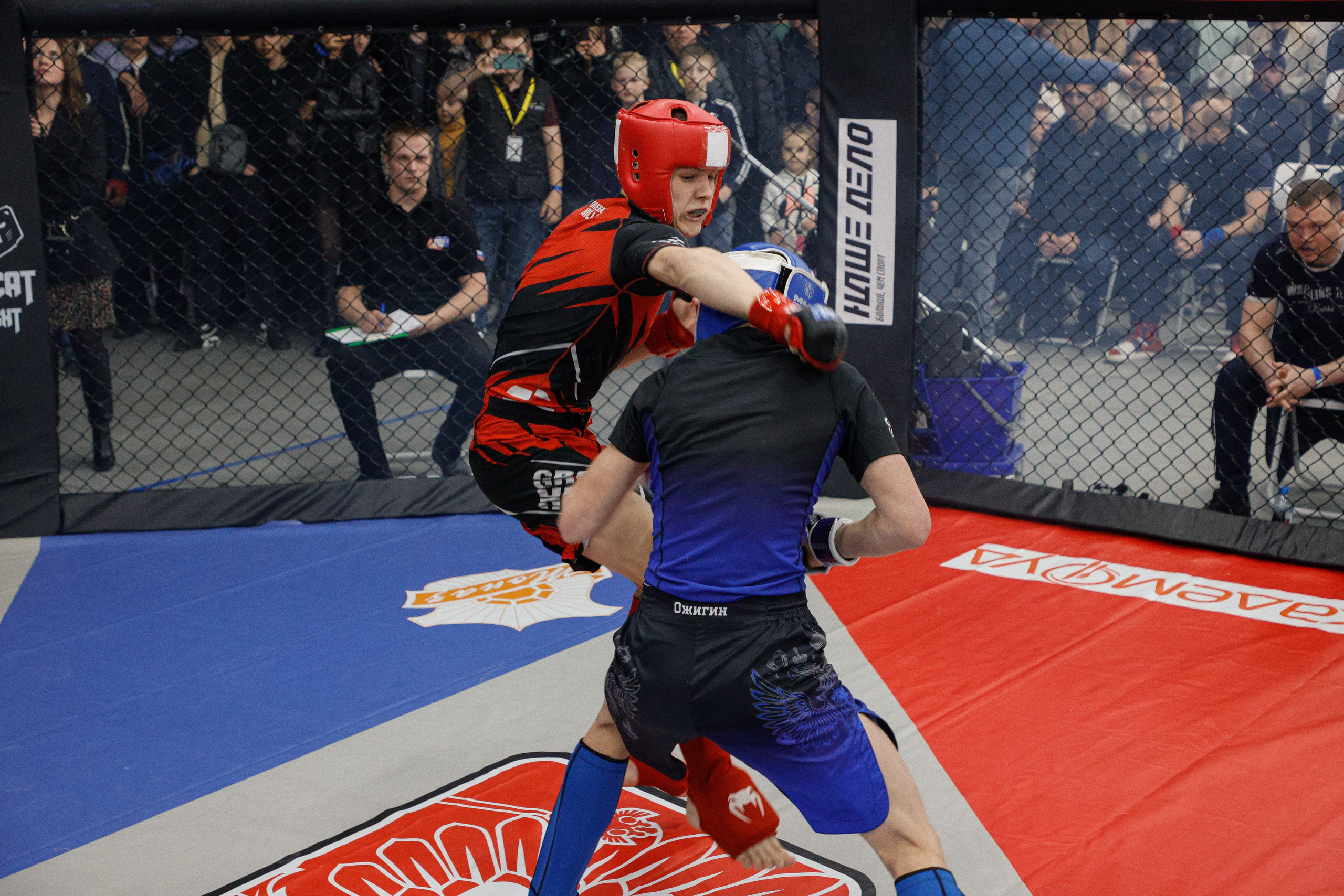ММА Автолегион 2026. Фотограф в Новосибирске Александр Иванов