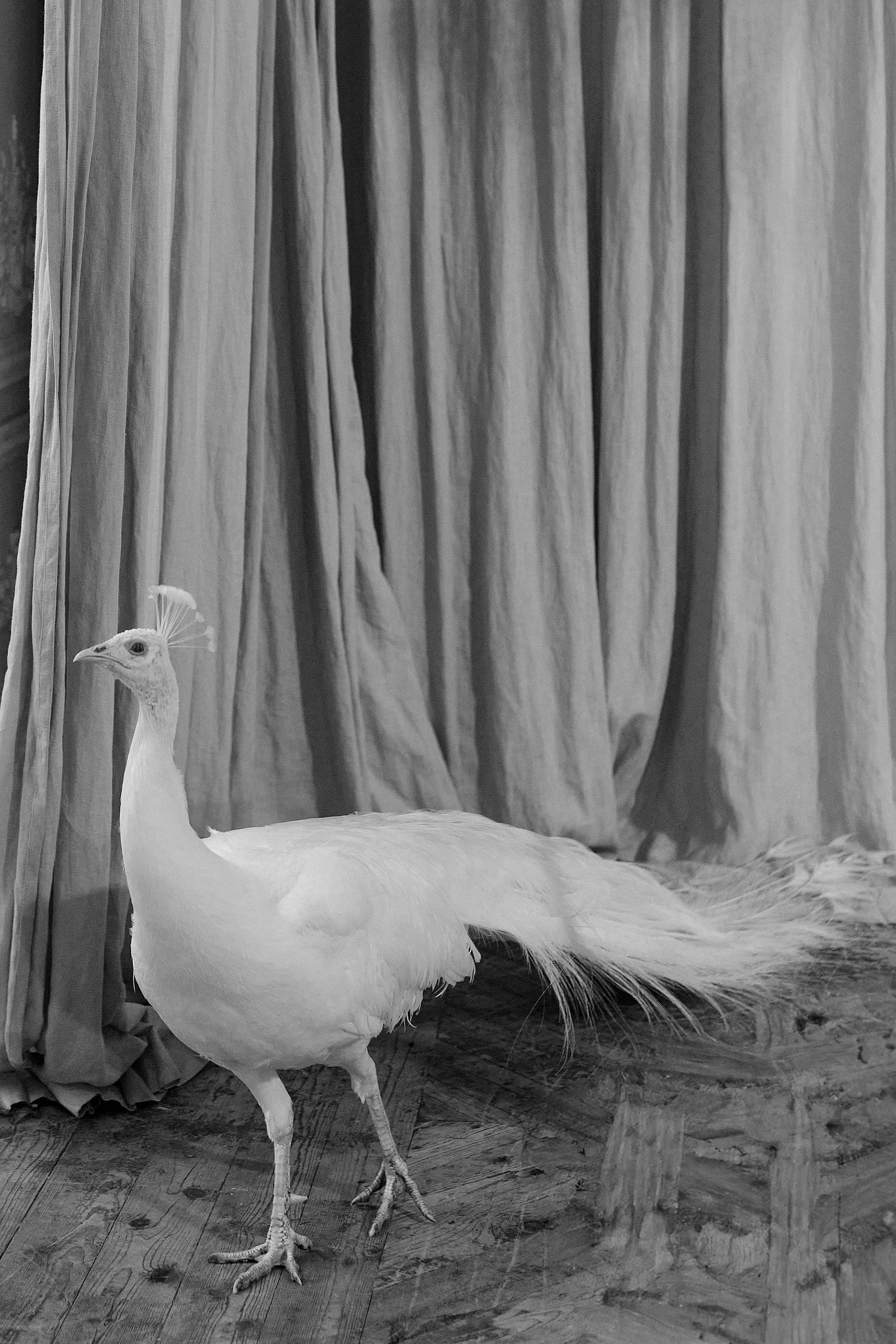 Данила и Ольга. Фотограф Елена Маринина Москва