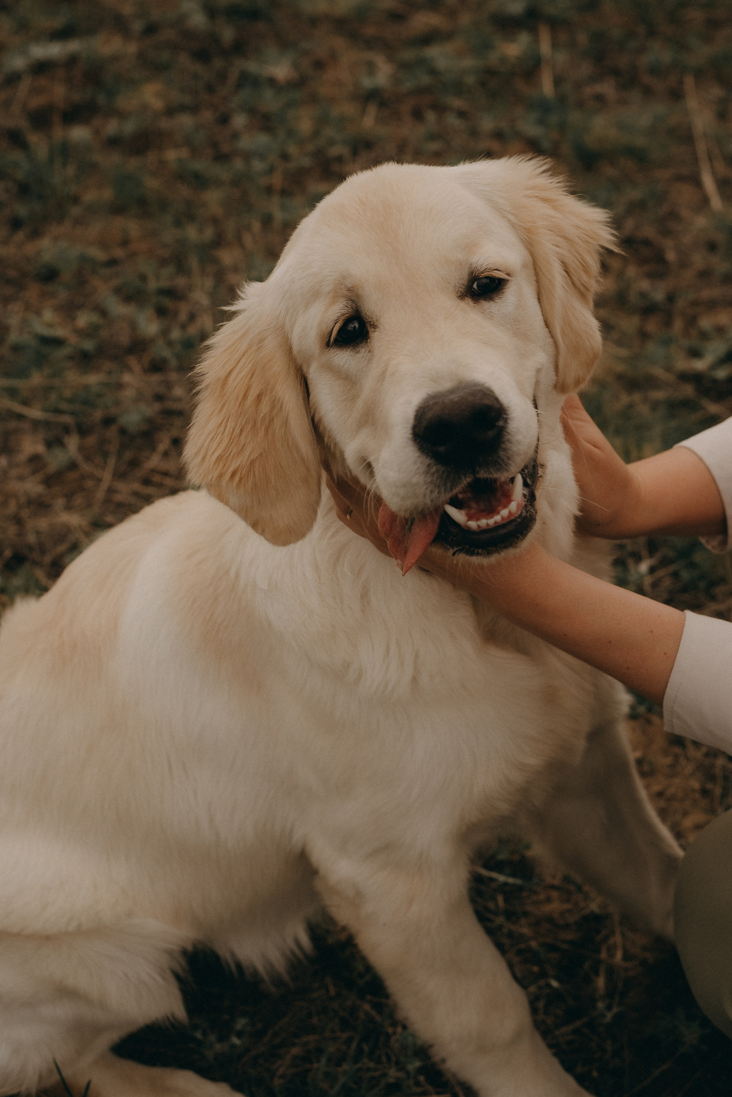 Вика, Кирилл, Николь и Хлоя