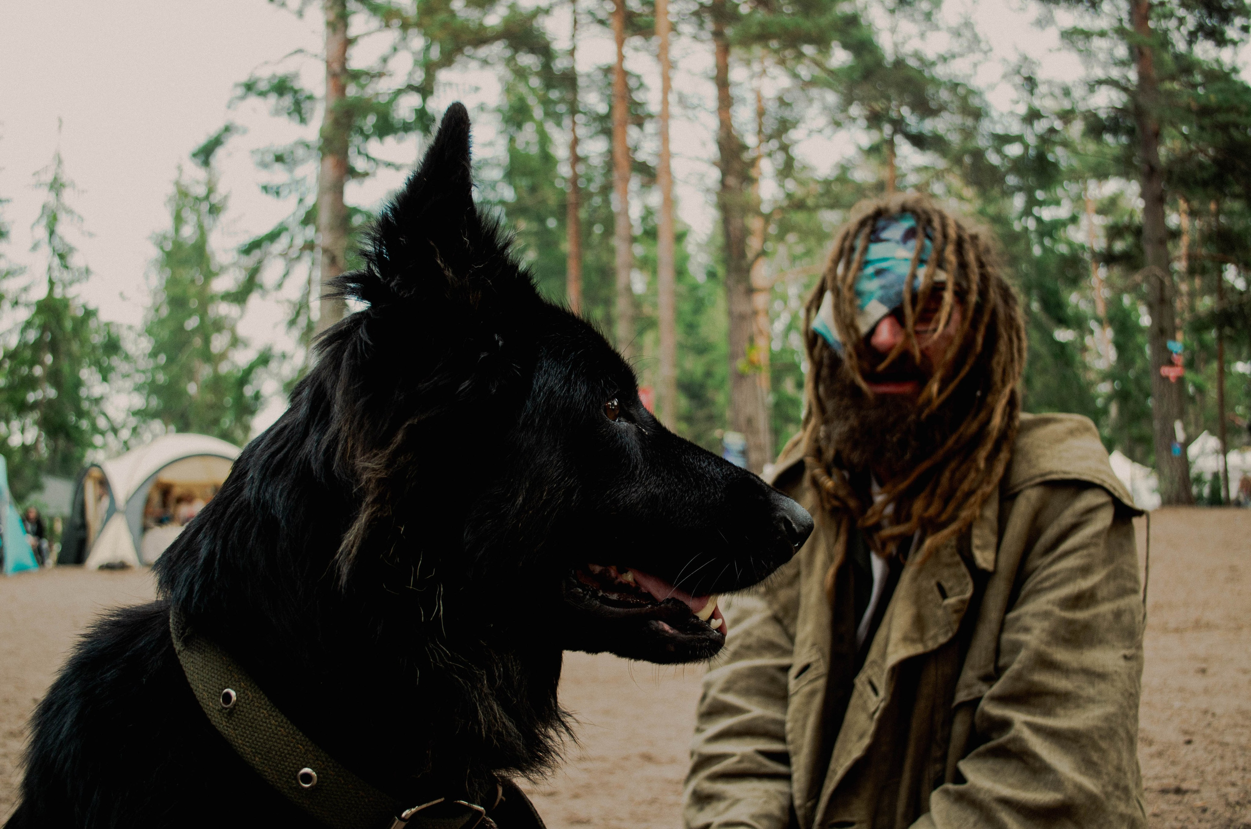 живые портреты на музыкальном фестивале, в походе