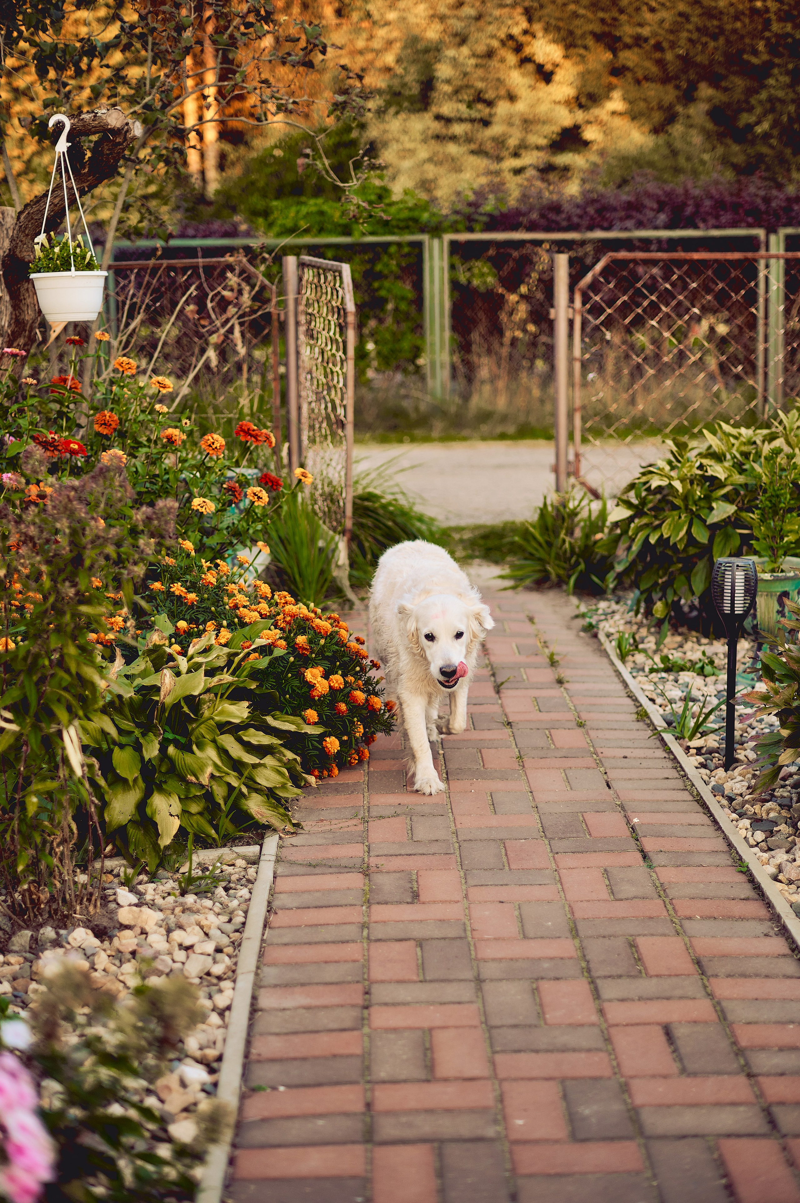 МАРТУШЕ 18. Свадебный и семейный фотограф РИТА БОЧКАРЁВА