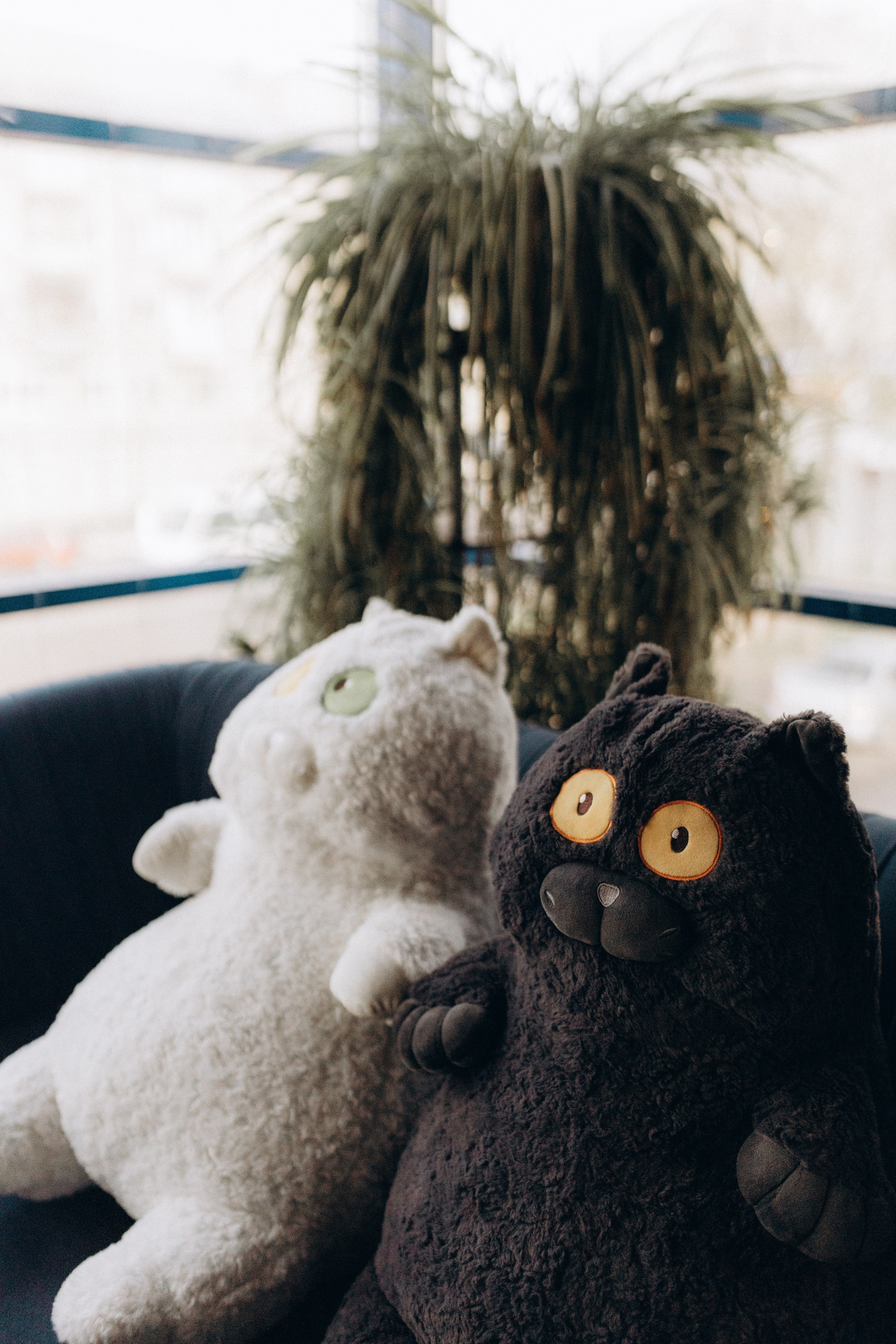 Контент для кальян-бара. Bordo Lounge. Фотограф НОГИНСК, Москва, Анастасия Белая