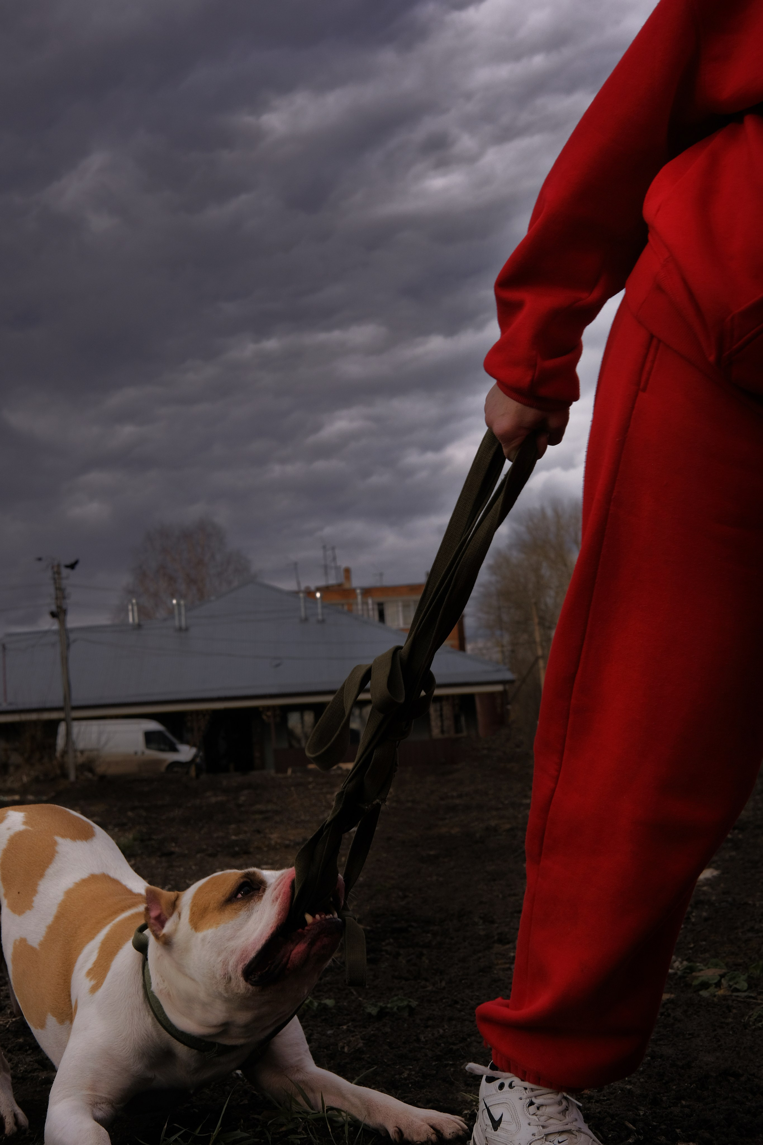 Наталья. Лиза Рязанцева