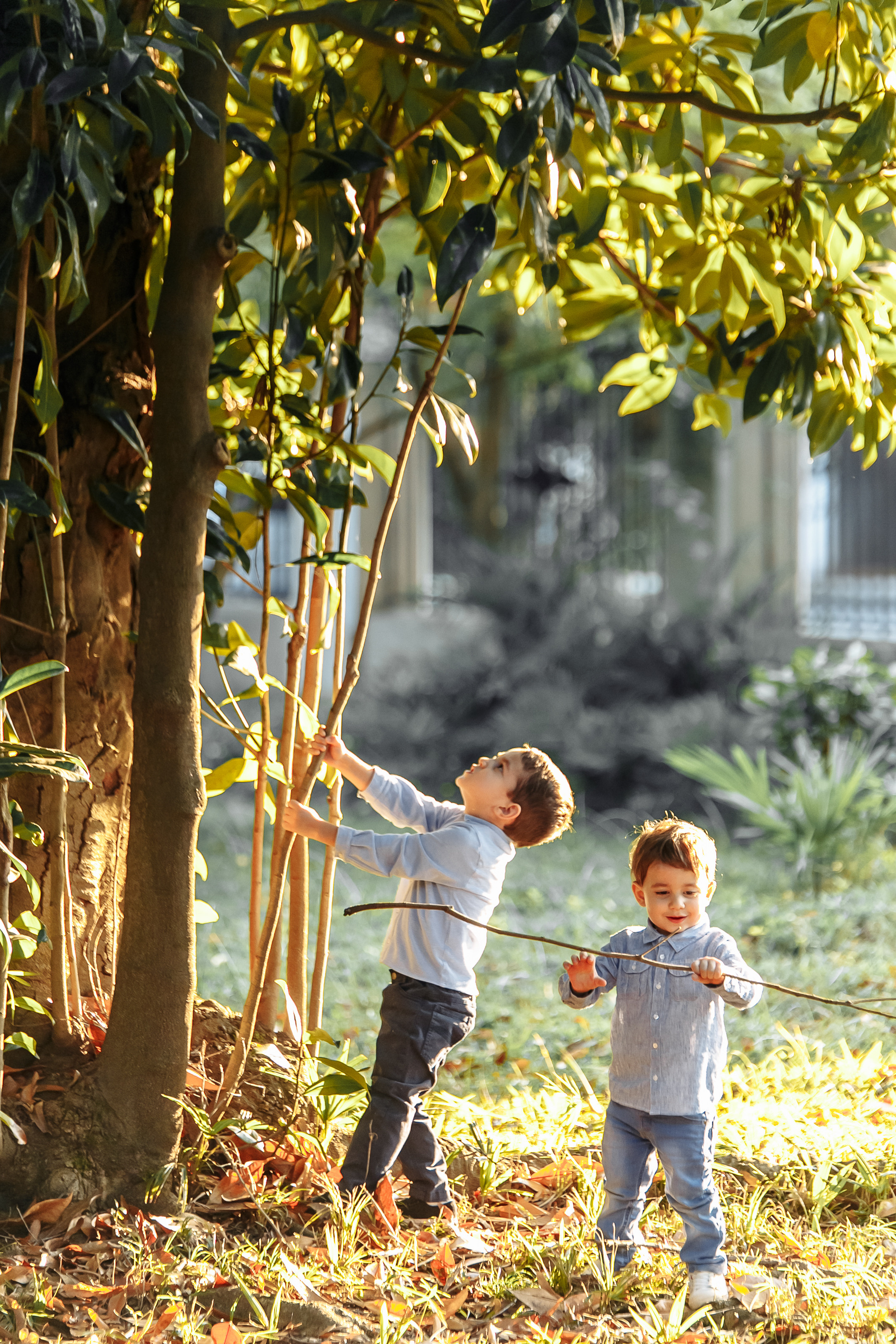 Праздник в Сочи - ваш лучший фотограф Арманд. Свадебный фотограф в Абхазии, Сухум, Гагра, Сочи