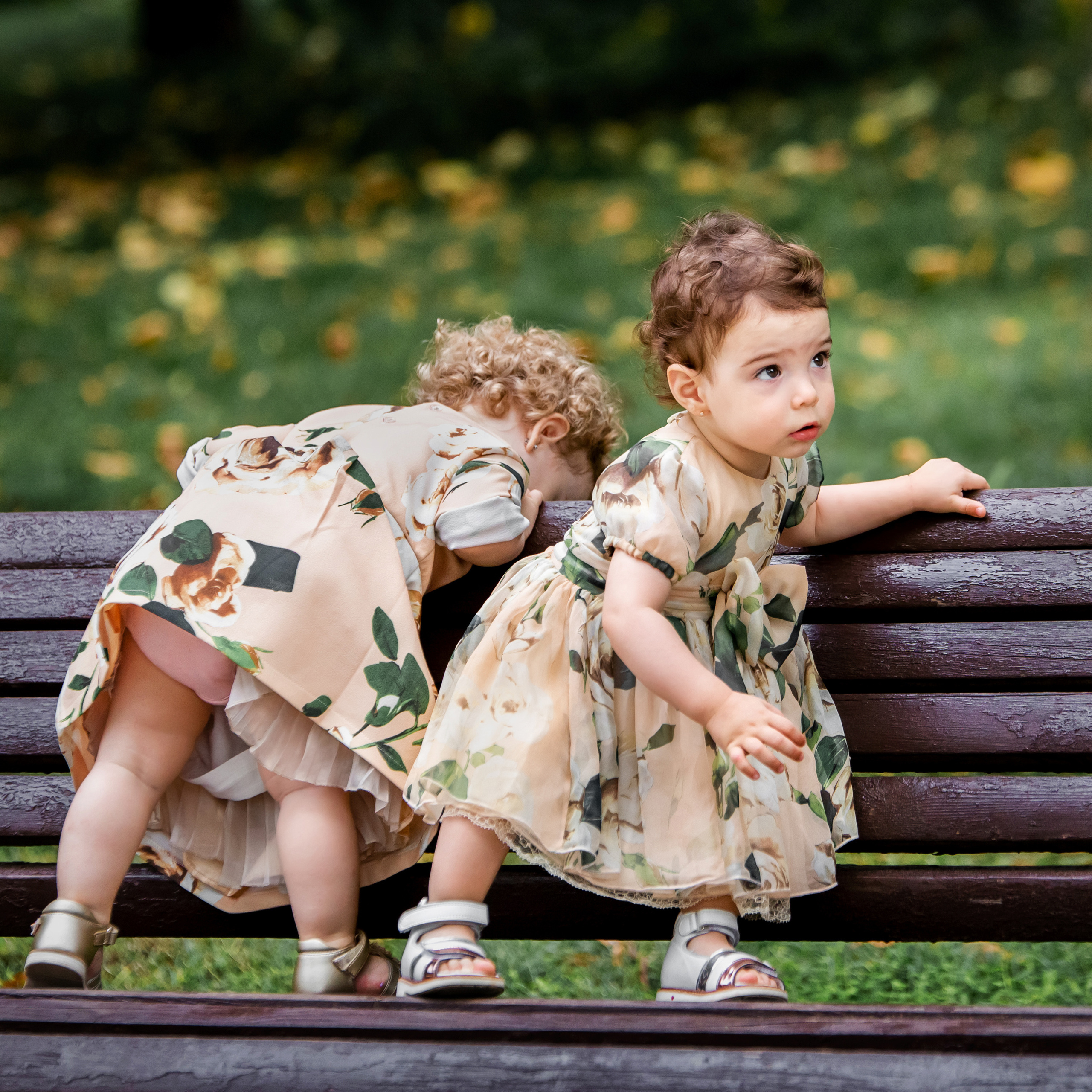 Праздник в Сочи - ваш лучший фотограф Арманд. Свадебный фотограф в Абхазии, Сухум, Гагра, Сочи