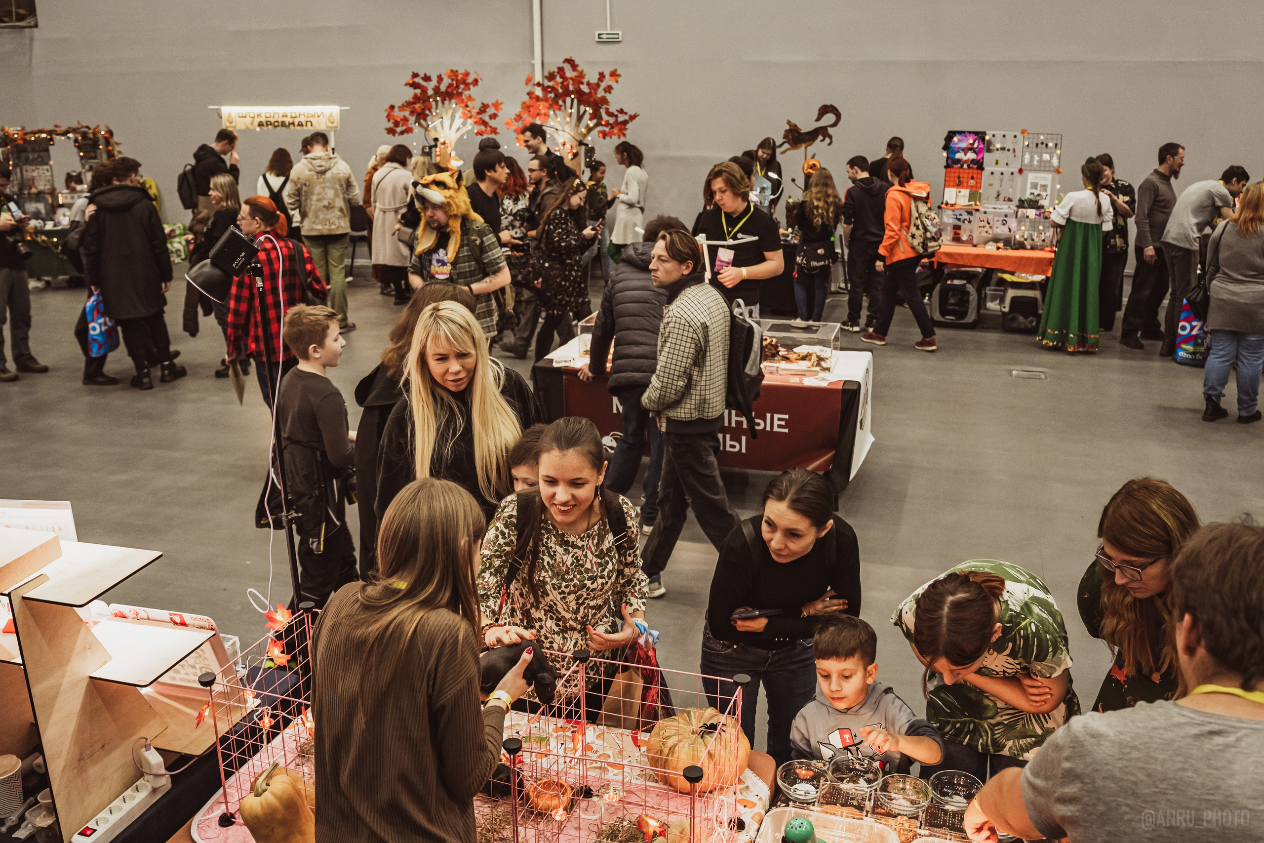 Fox Family fest. Репортажный фотограф Анастасия Рубцова