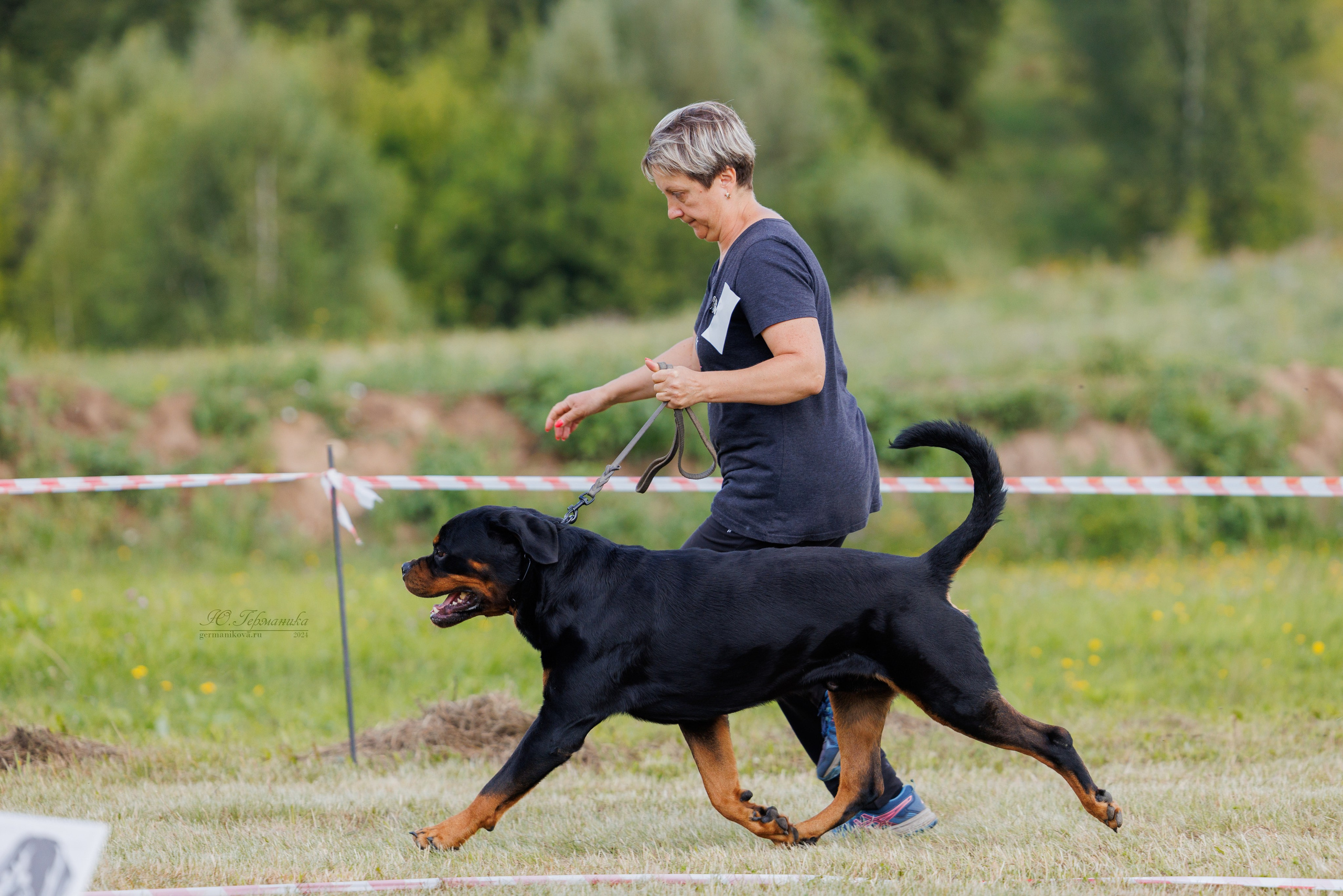 Рязань-Ховрино 10-11.08.2024 3хмоно ротвейлеров. Фотограф-анималист Юлия Германика