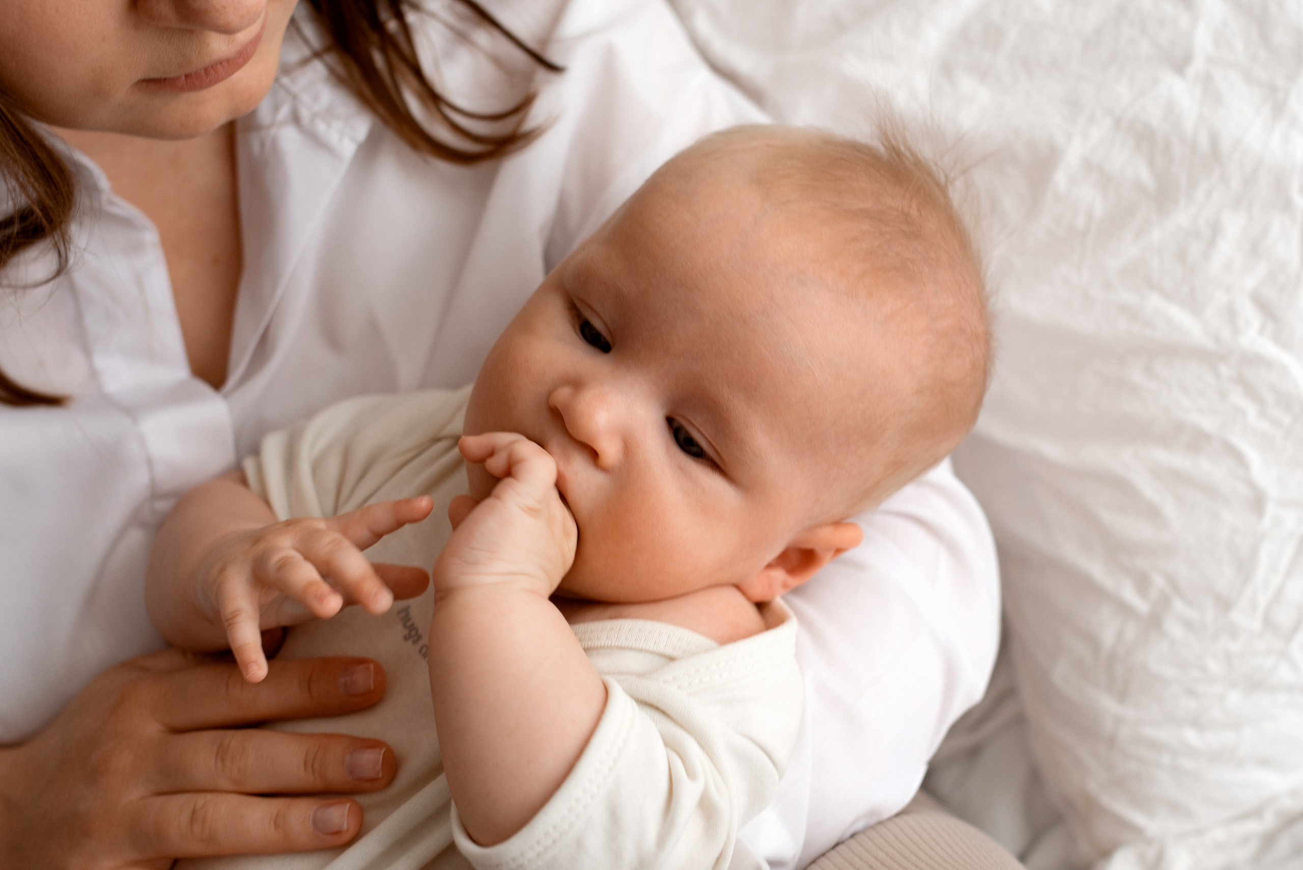 4 месяца (life)