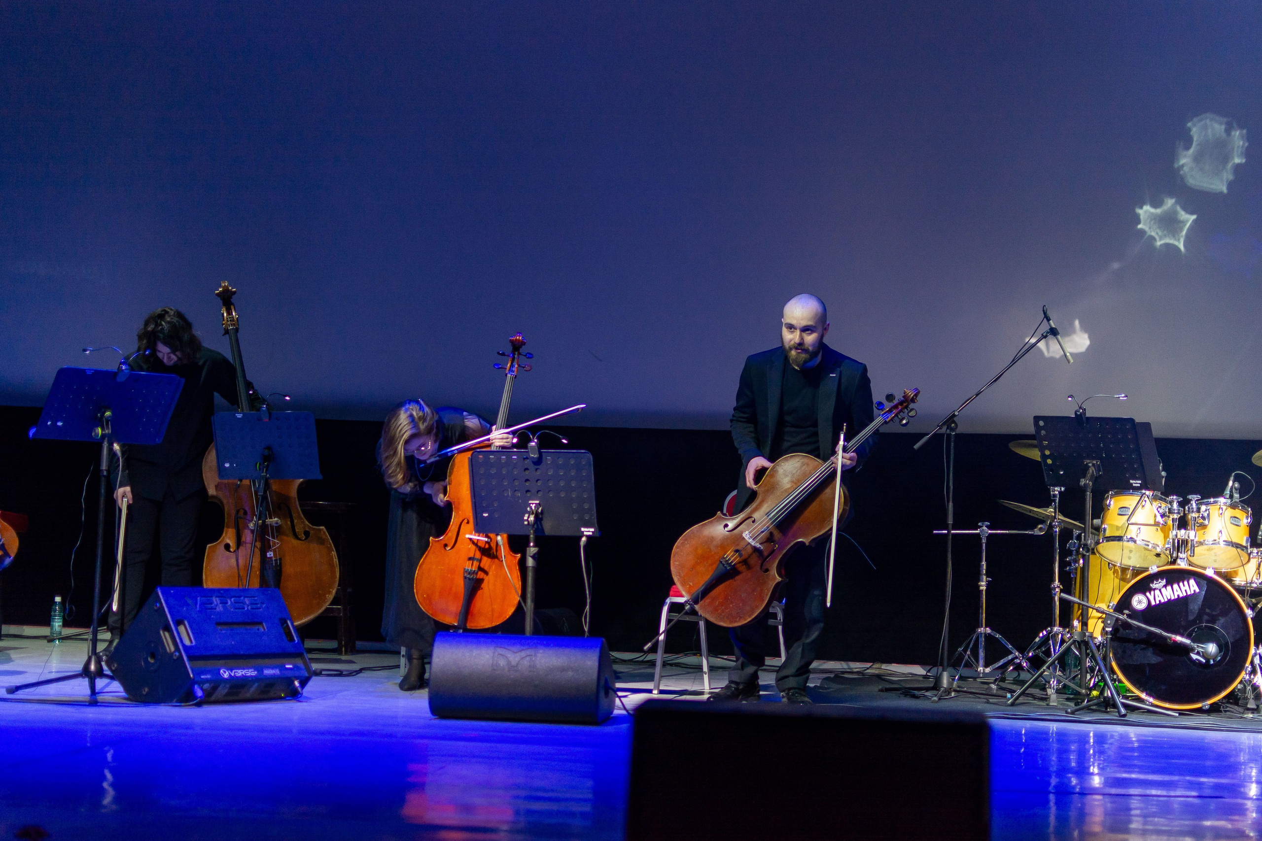 Концерт оркестра Cinematica. Репортажный фотограф в Новосибирске