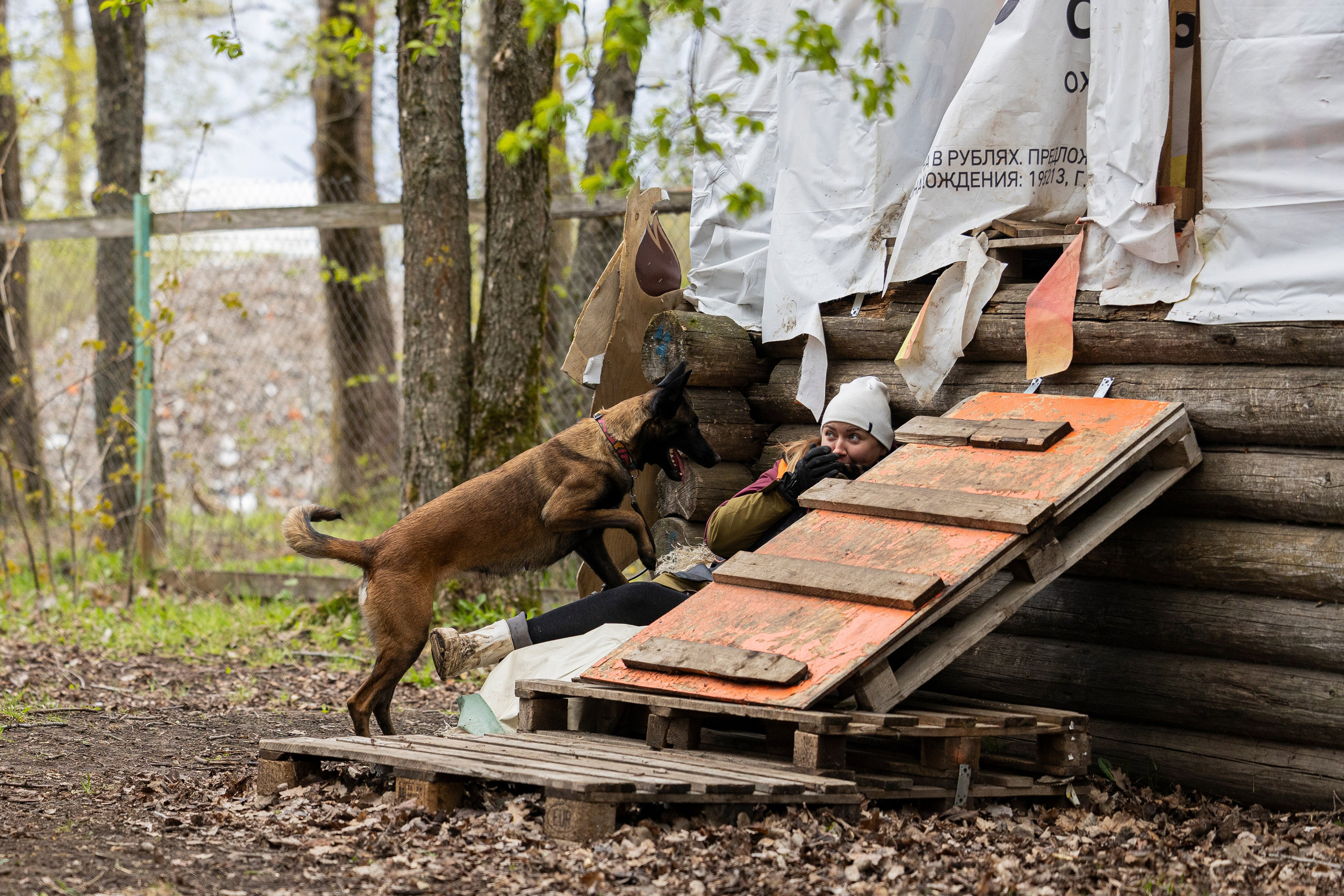 Квалификационные состязания по мондьорингу г. Вологда 11.05.24. Фотограф-анималист Анна Маринич