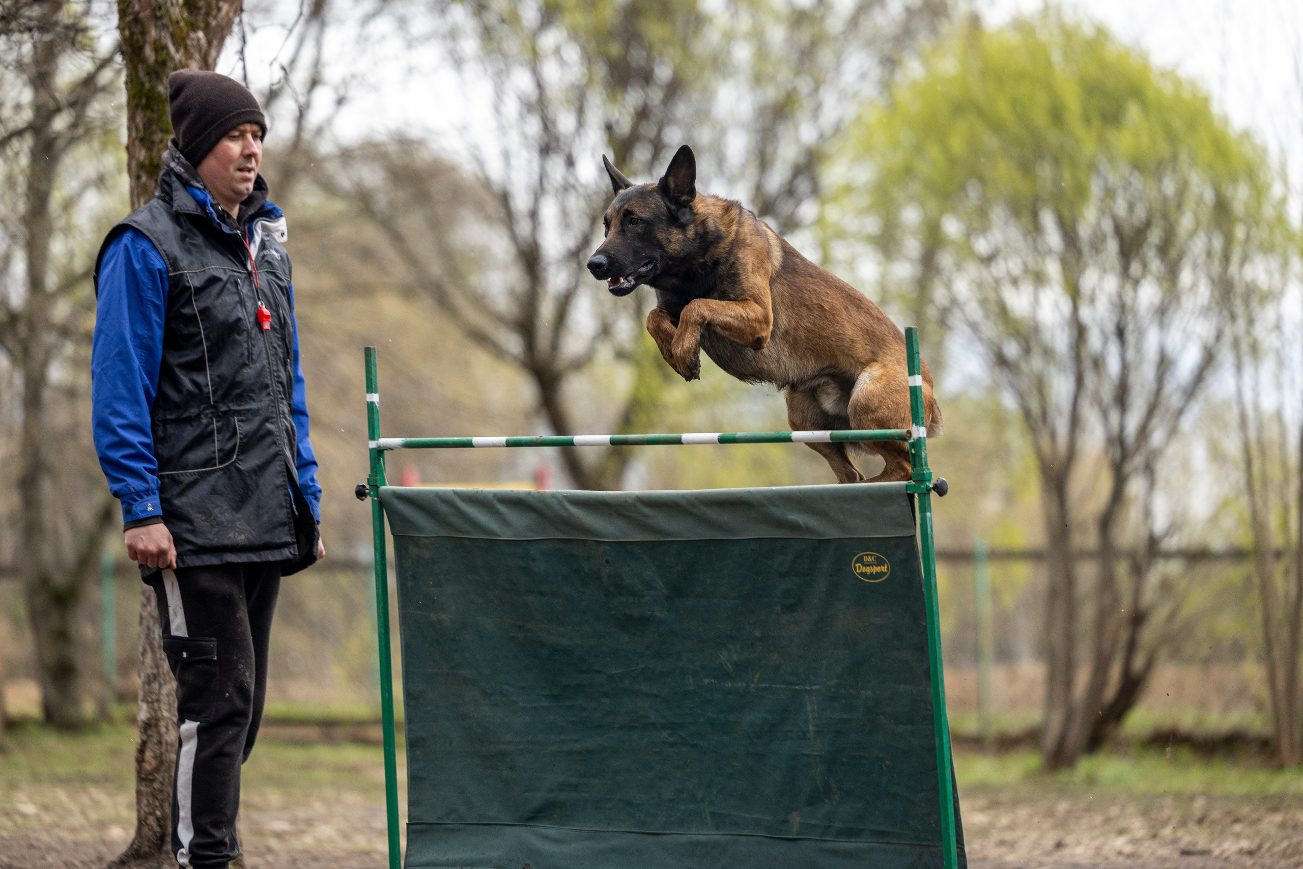 Квалификационные состязания по мондьорингу г. Вологда 11.05.24. Фотограф-анималист Анна Маринич