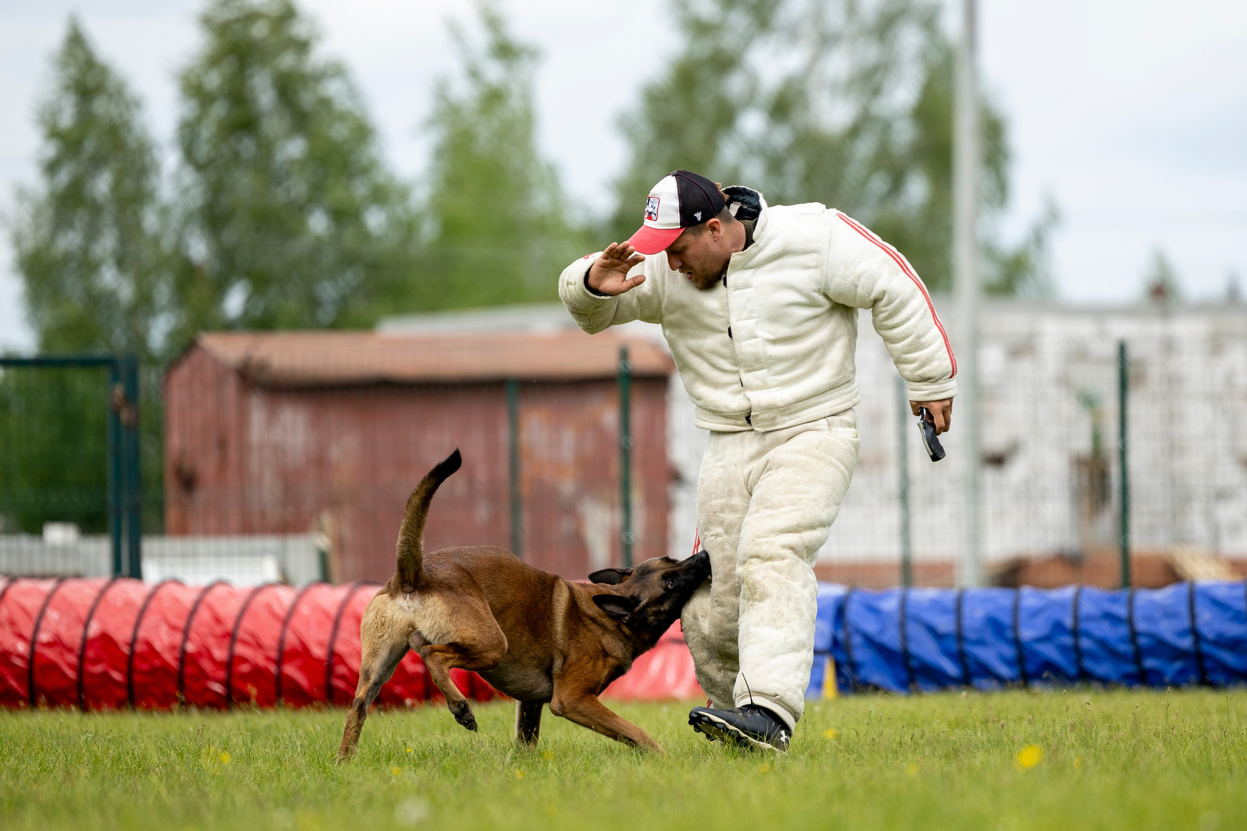 Испытания по мондьорингу в Нижнем Новгороде. Фотограф-анималист Анна Маринич