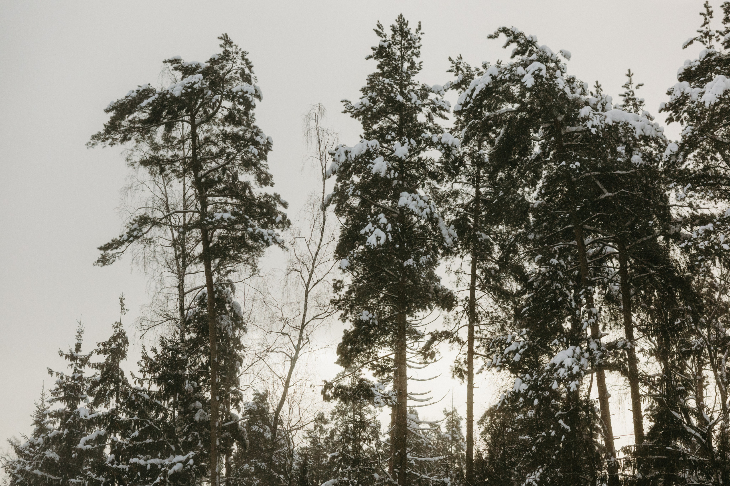 Виды из поезда. Фотограф Эльмира Лин