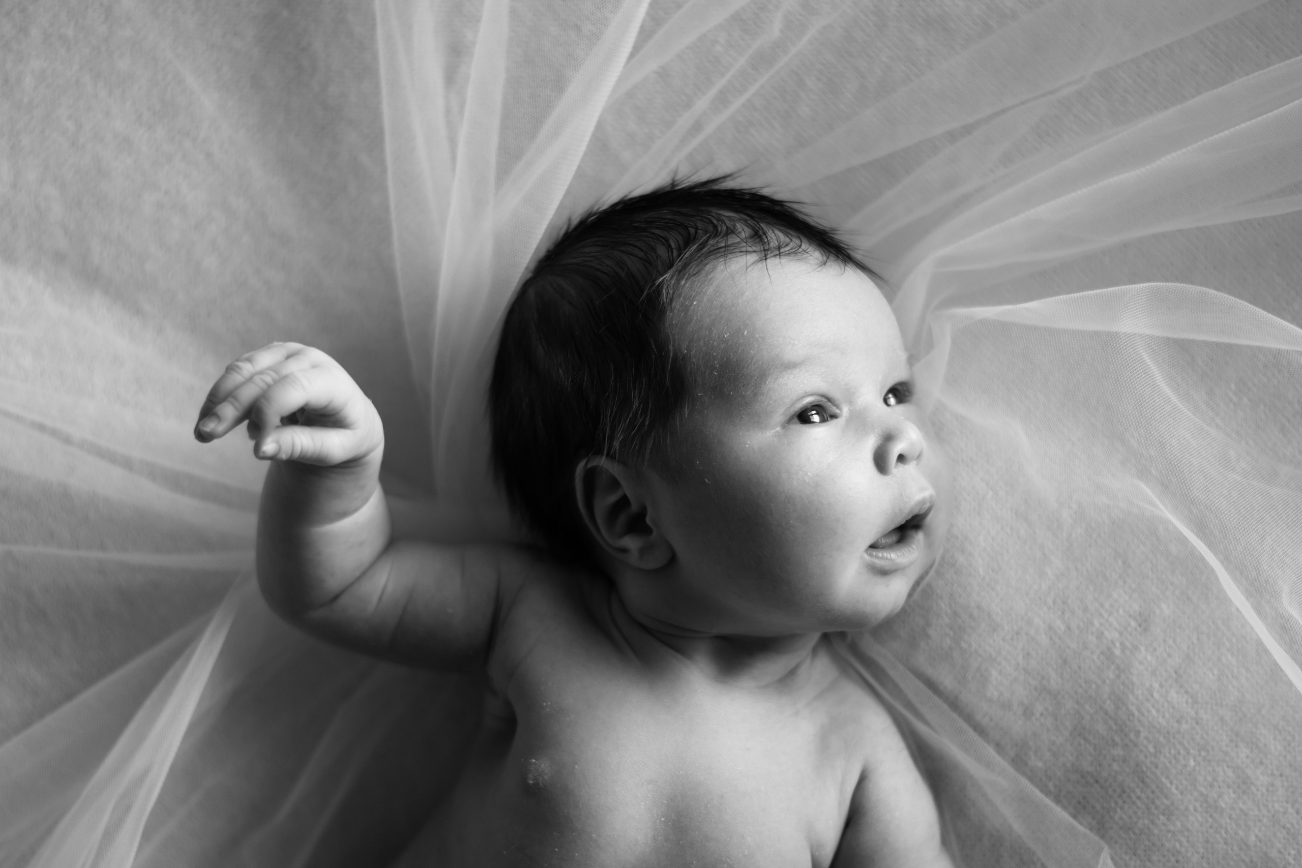 ДЕВОЧКИ. Фотограф новорождённых детский фотограф Сыктывкар Наталья Линдт