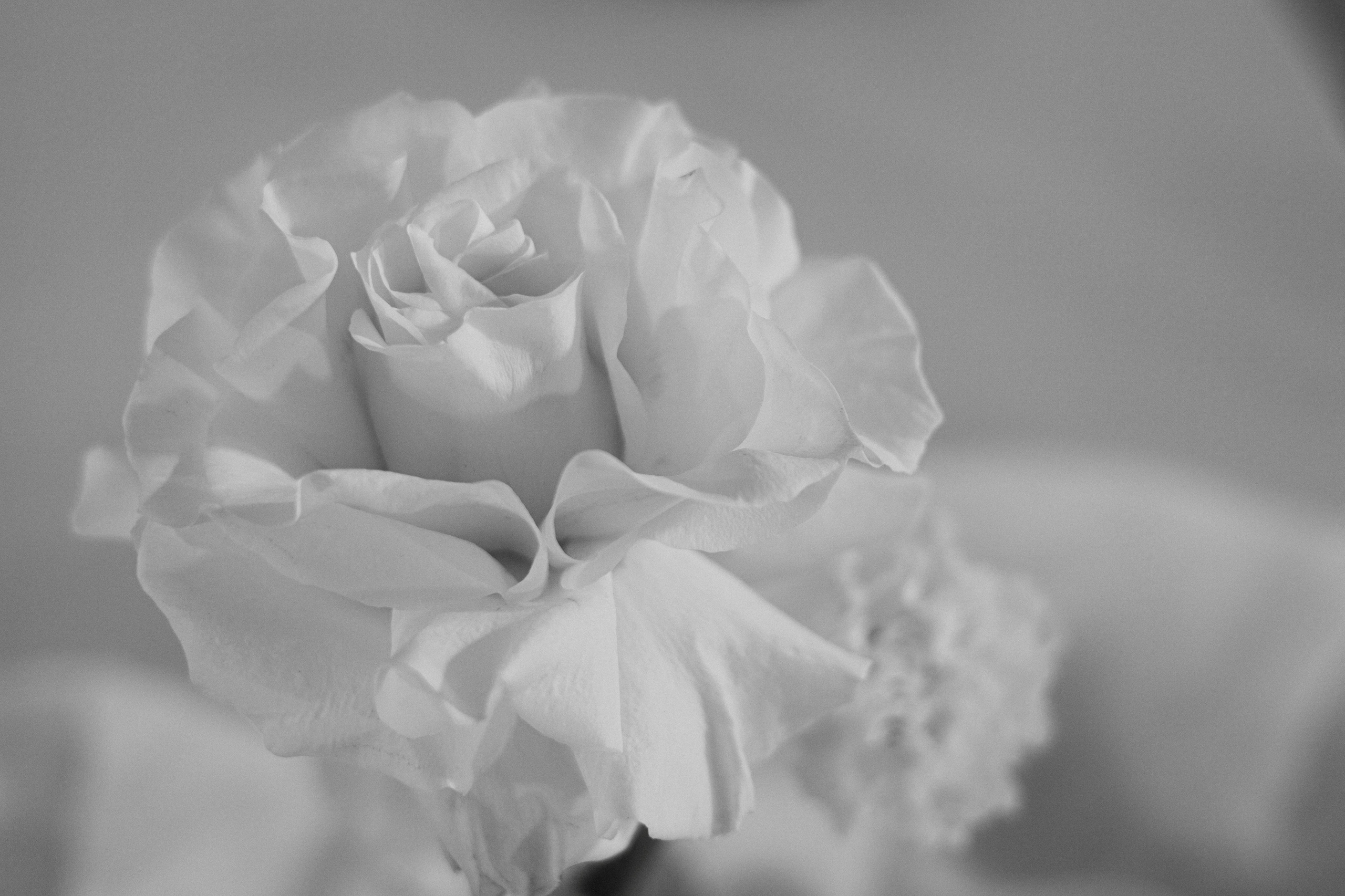 Георгий и Ася