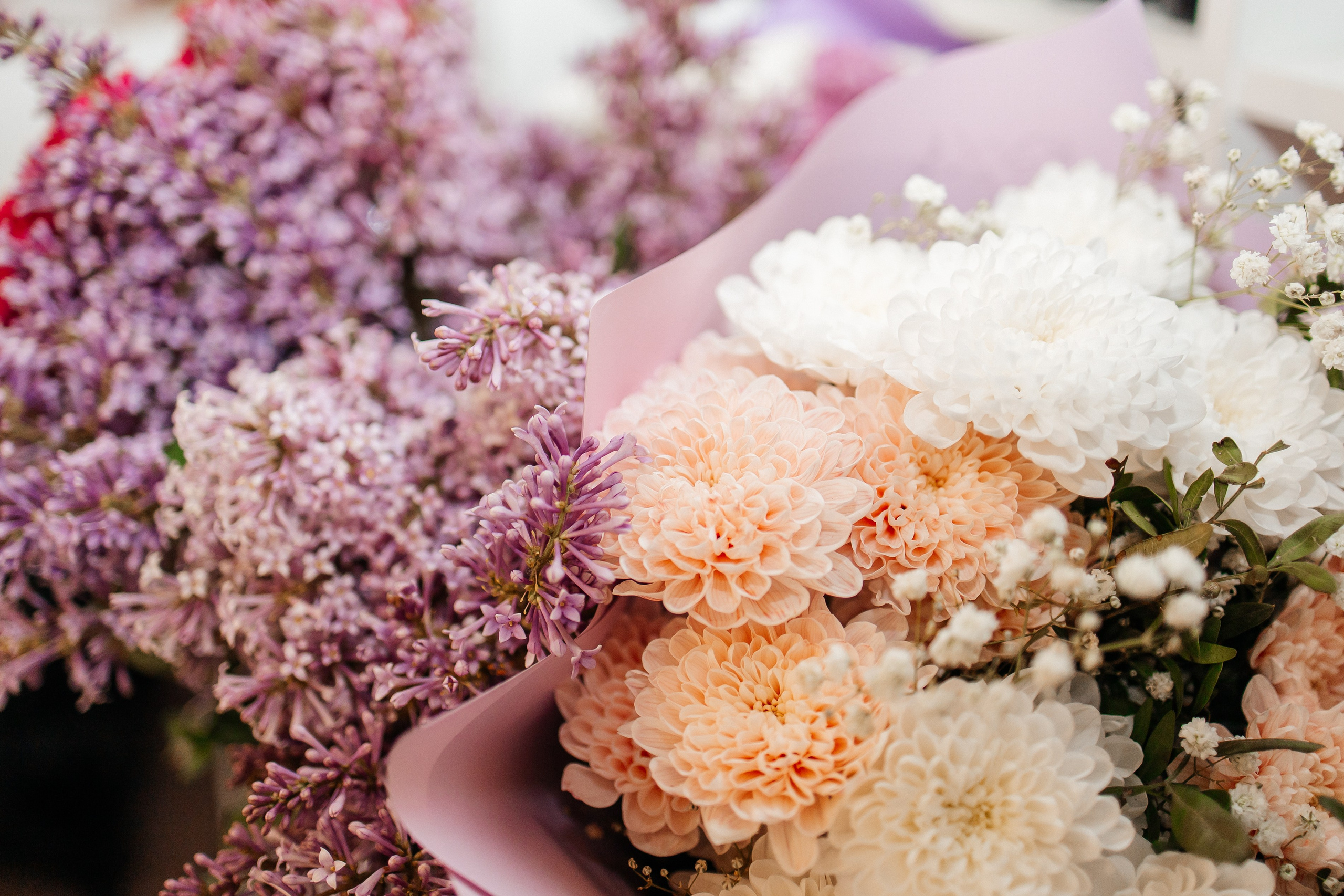 Юбилей 50 лет. Фотограф Нестратенко Станислав г. Шилка, г. Чита