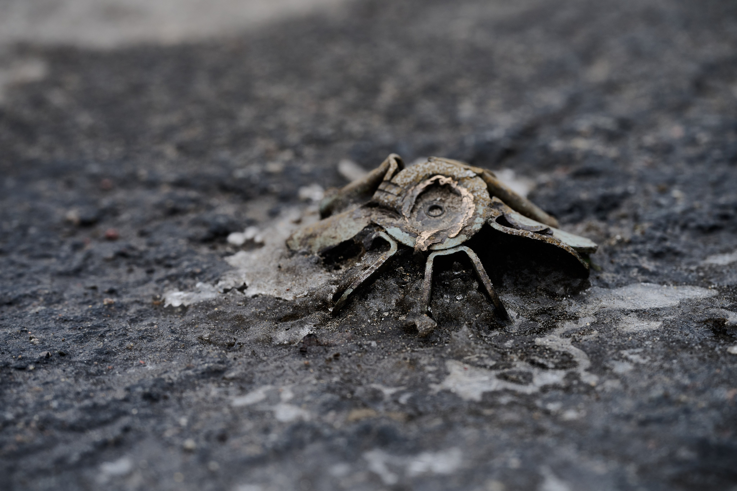 Рубежное. Декабрь 2024. Фотограф Роман Адлер