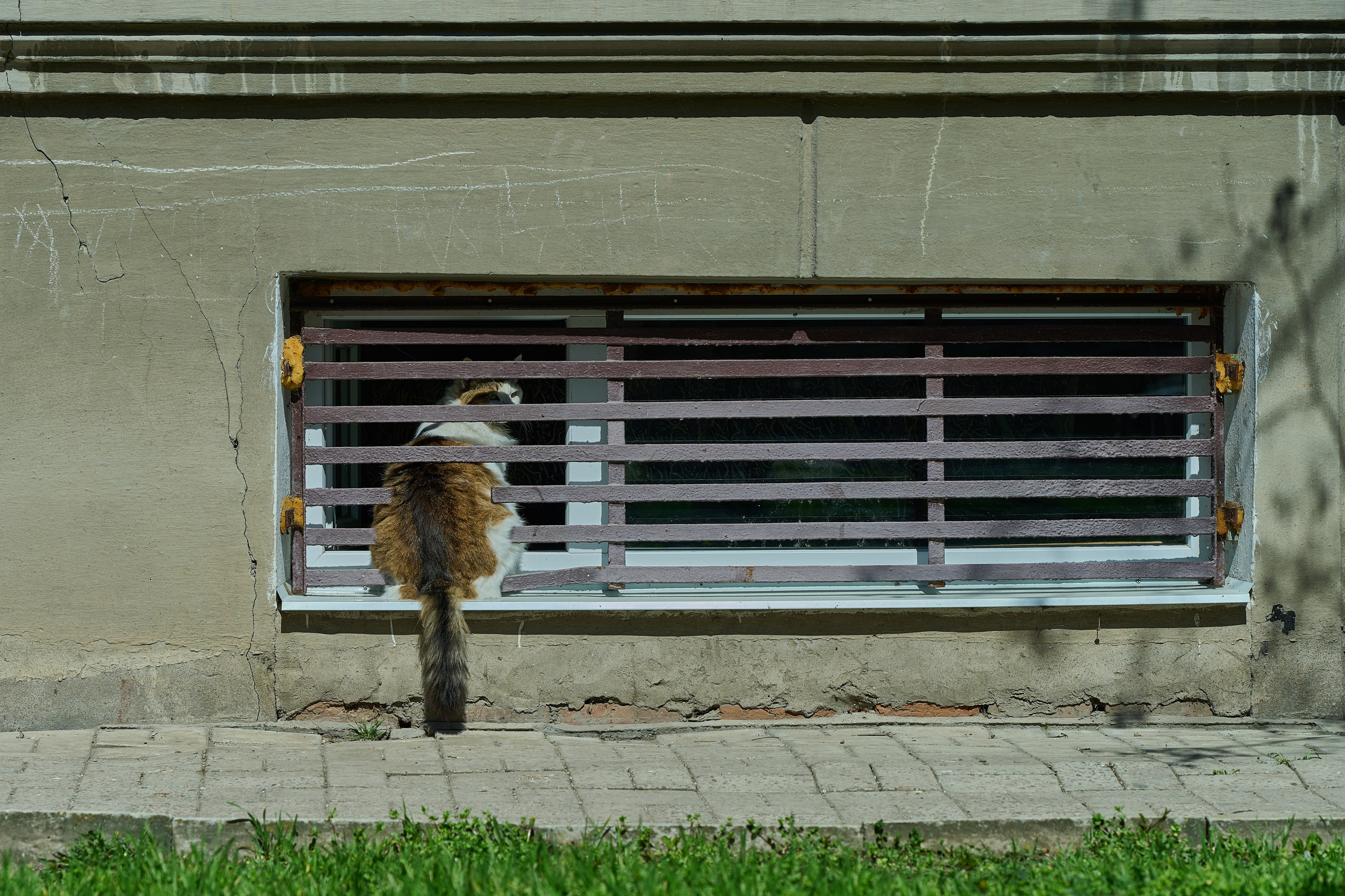 Бердянск. Апрель 2024. Фотограф Роман Адлер