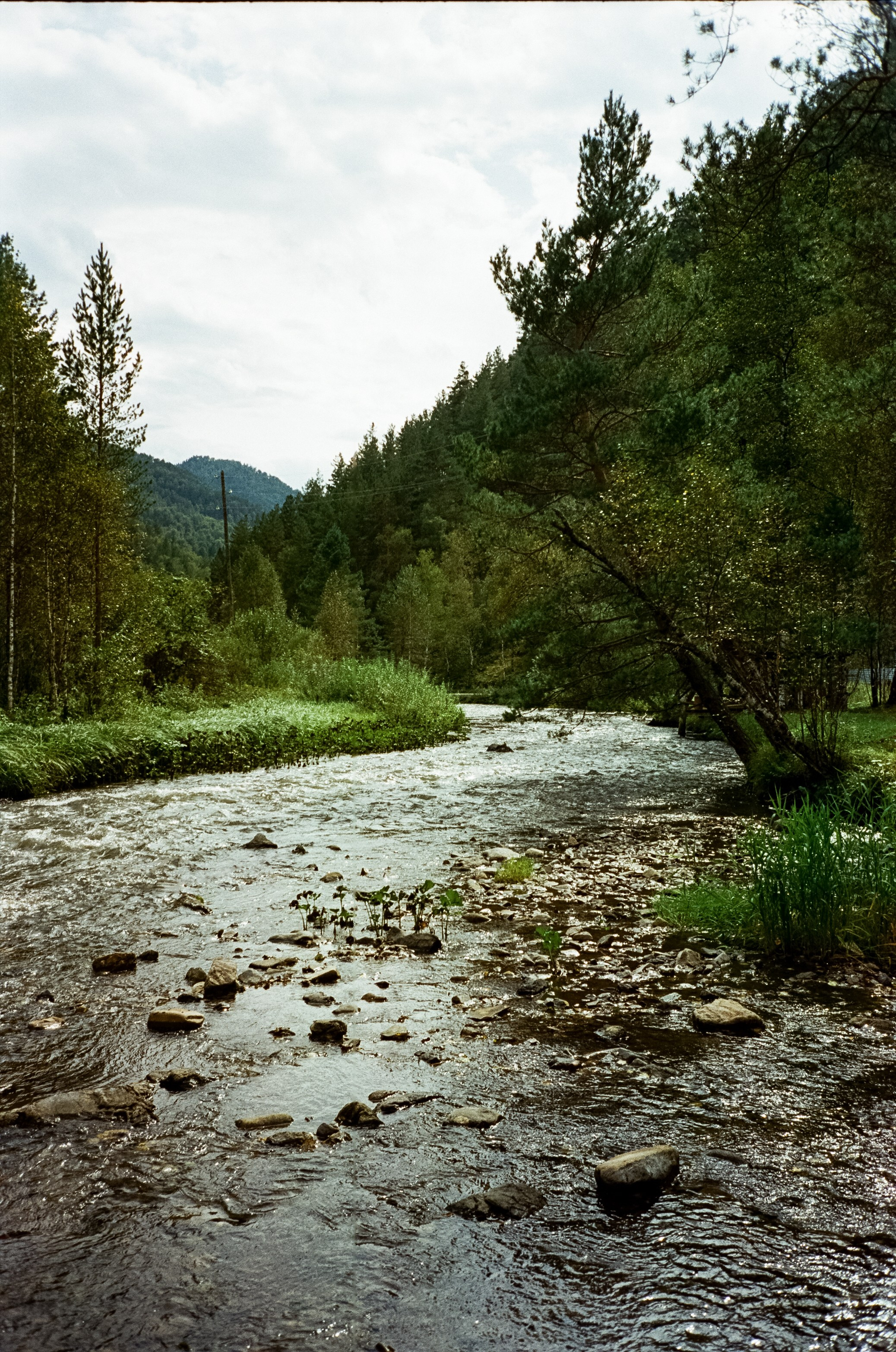 Река Куюм и Благодать. Катунь на Айском тракте. Фотограф-документалист Мария Осокина