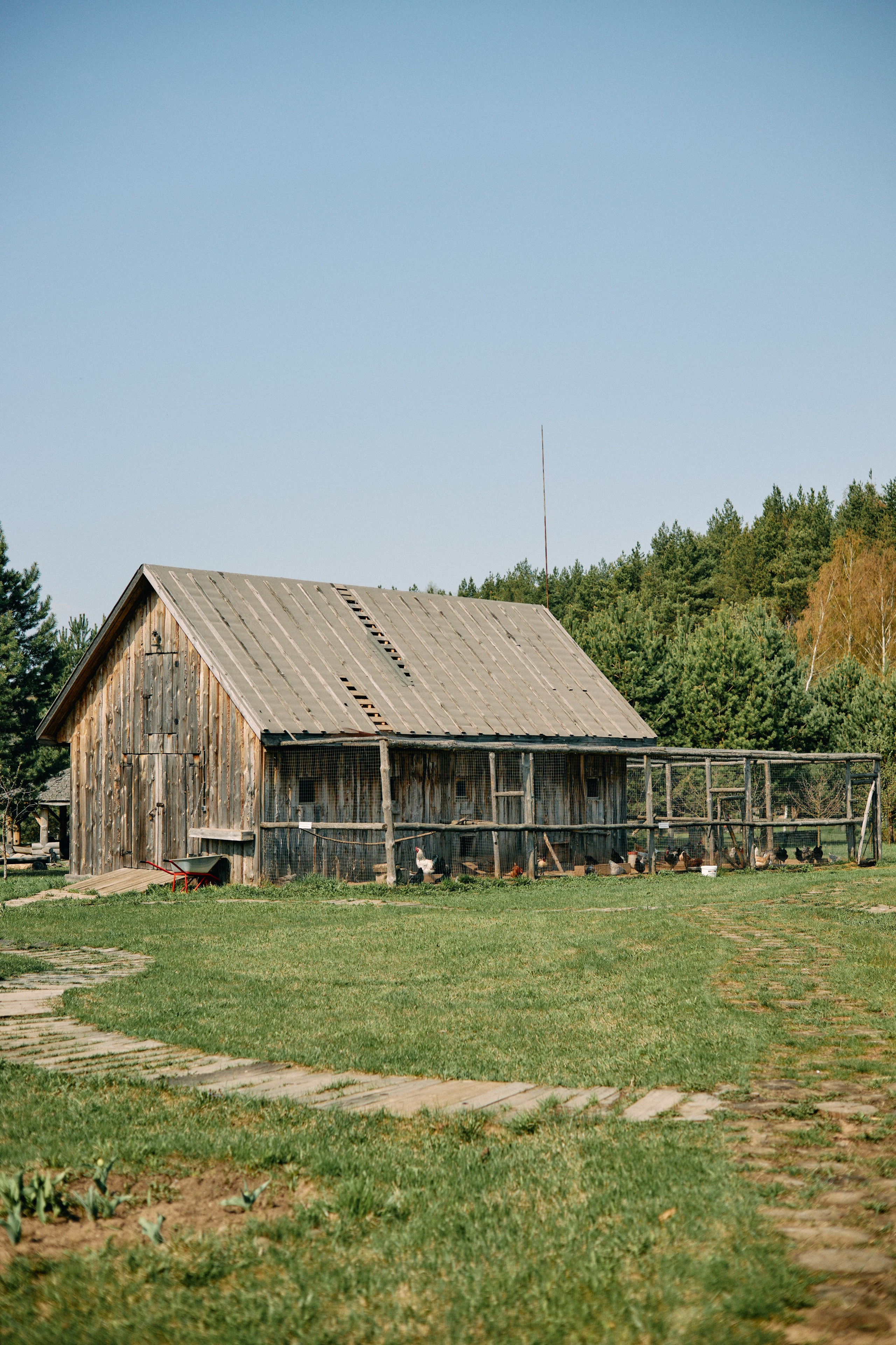 Бутик-отель Поле летом. Профессиональный Фотограф во Владимире, в Москве и в Суздале — Полина Романычева