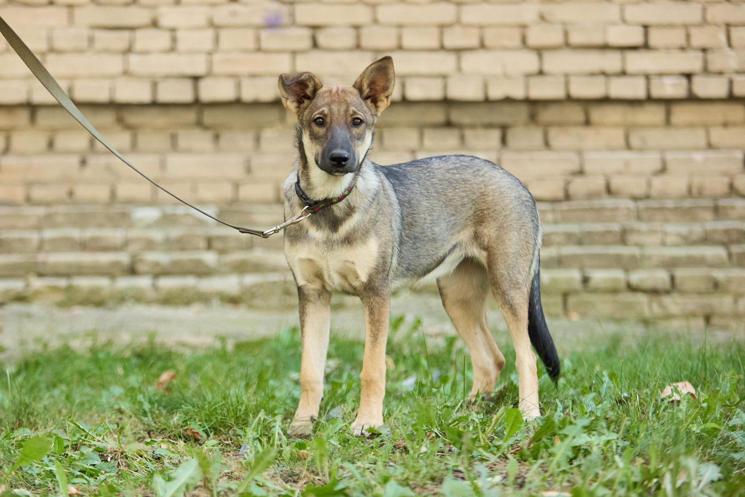 Пиар. Фотограф Ирина Астор