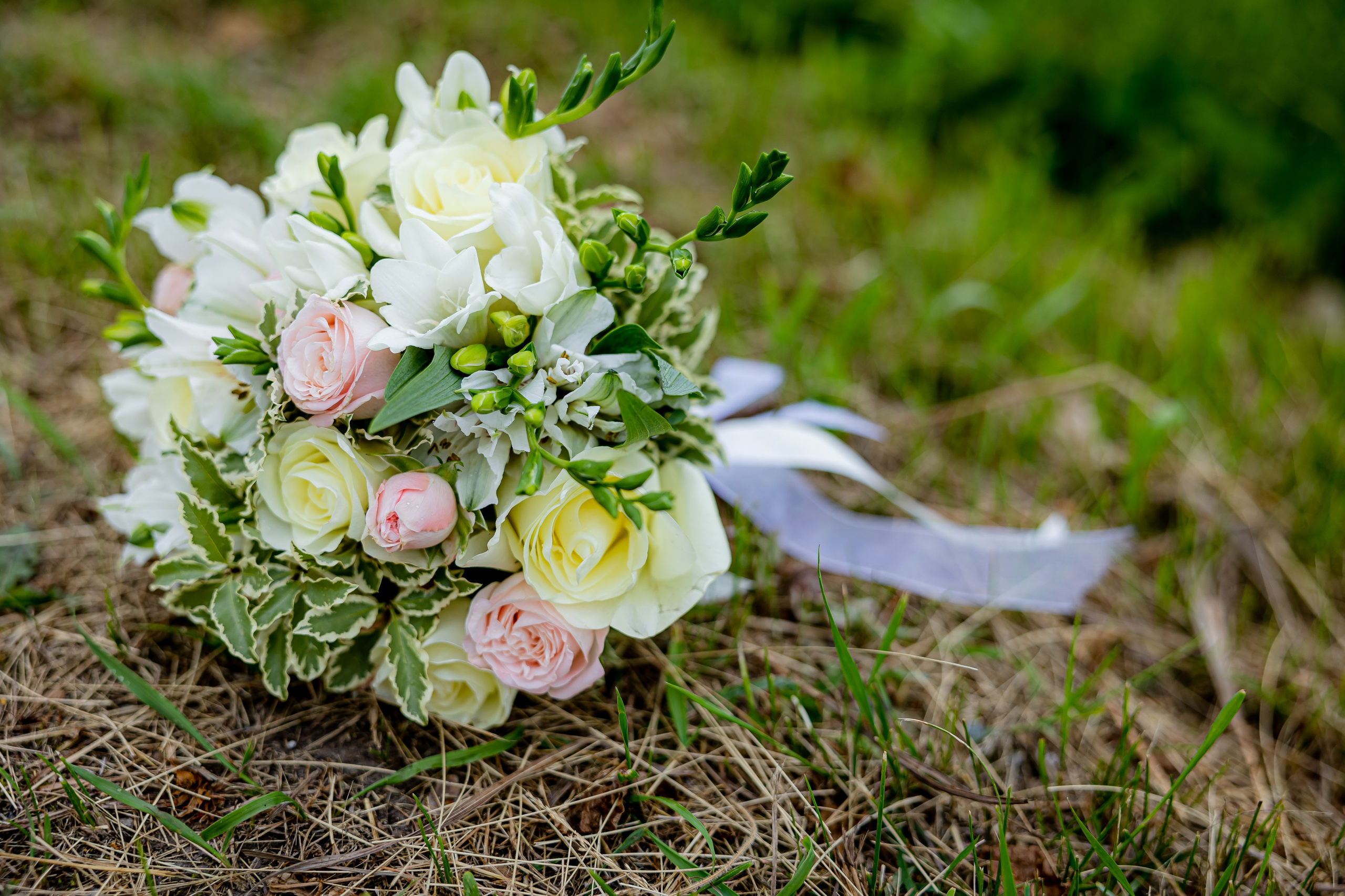 Свадебная фотосессия