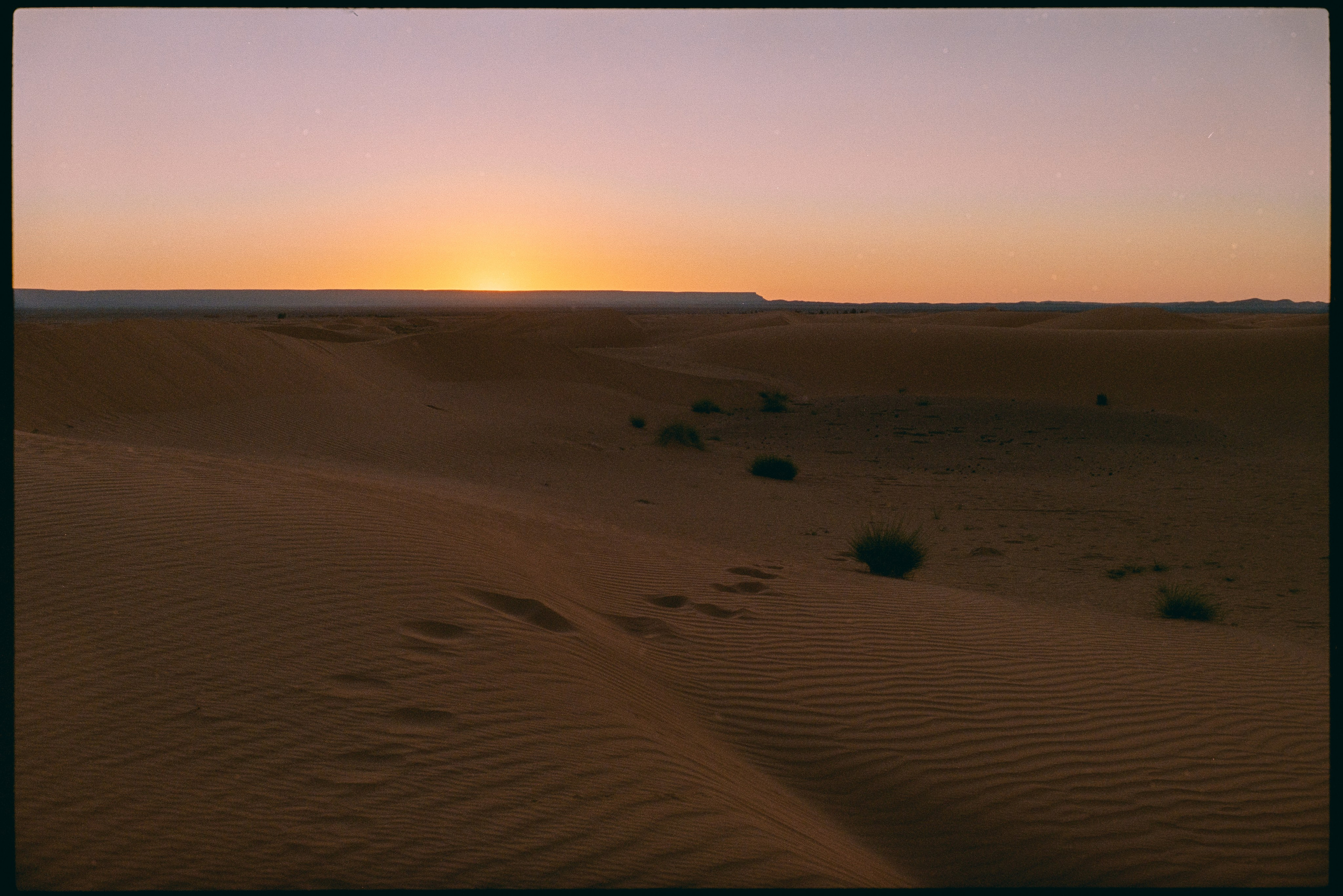 Марокко (плёнка Алёны). Игорь Гичка. Портрет с любовью