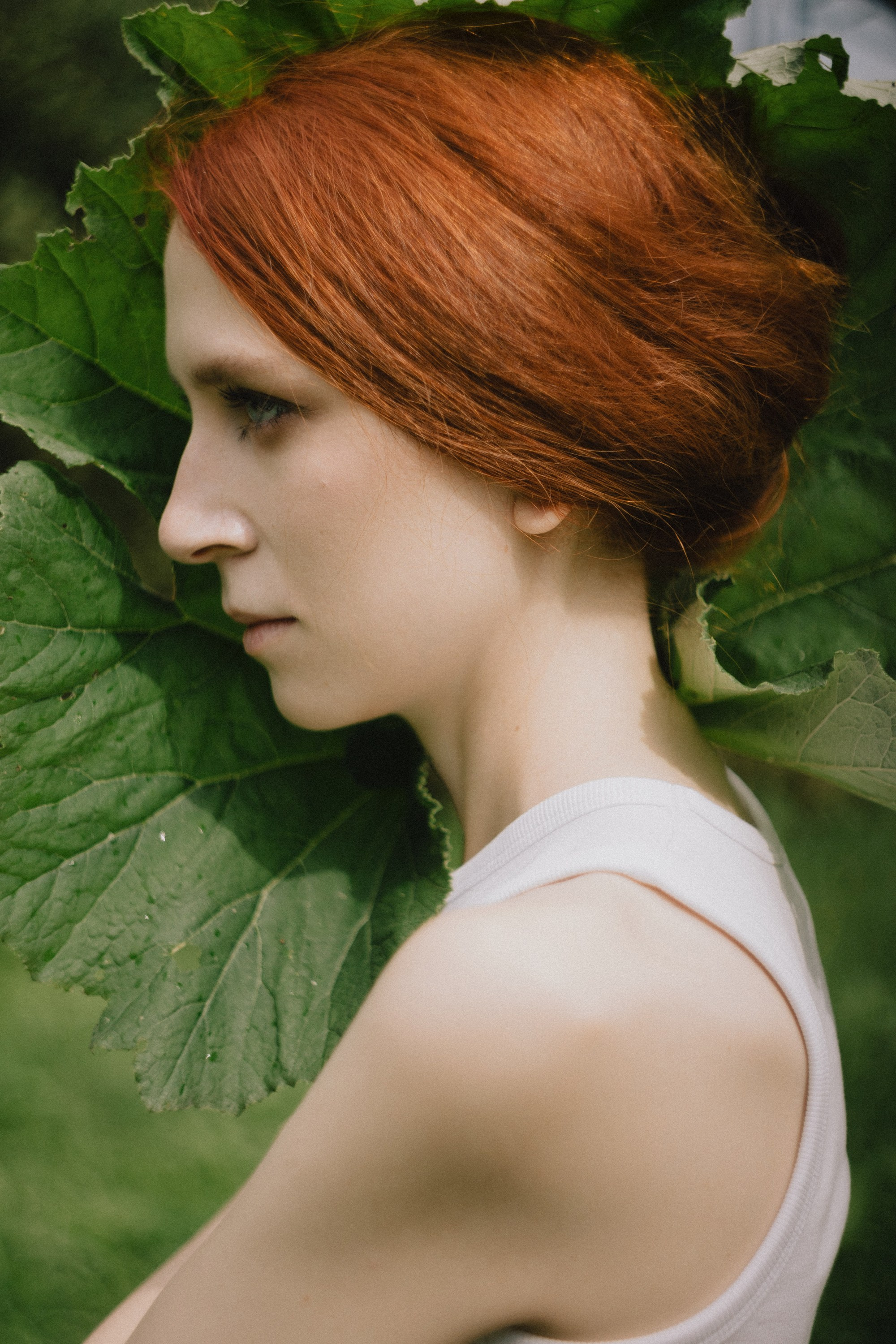 Коммерция и модельные тесты