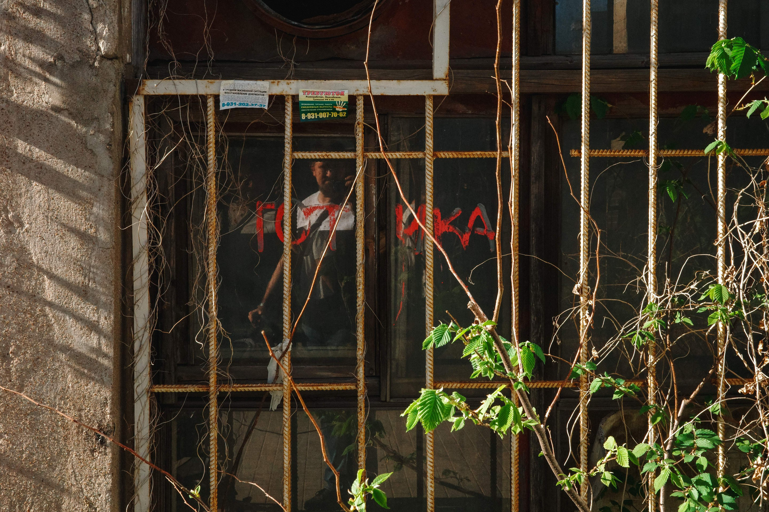 2024.05. Фотограф Алексей Алексеев