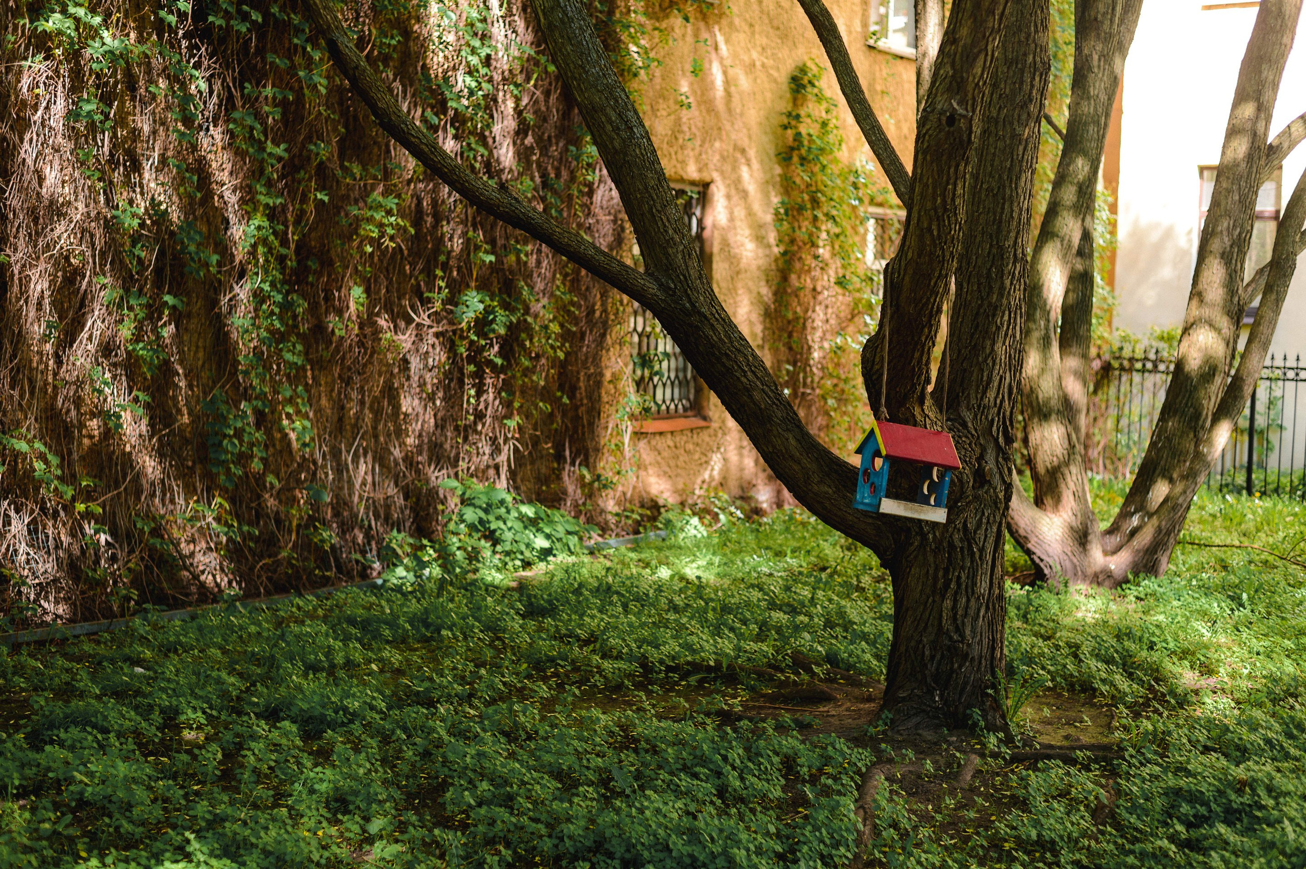 2025.06. Фотограф Алексей Алексеев