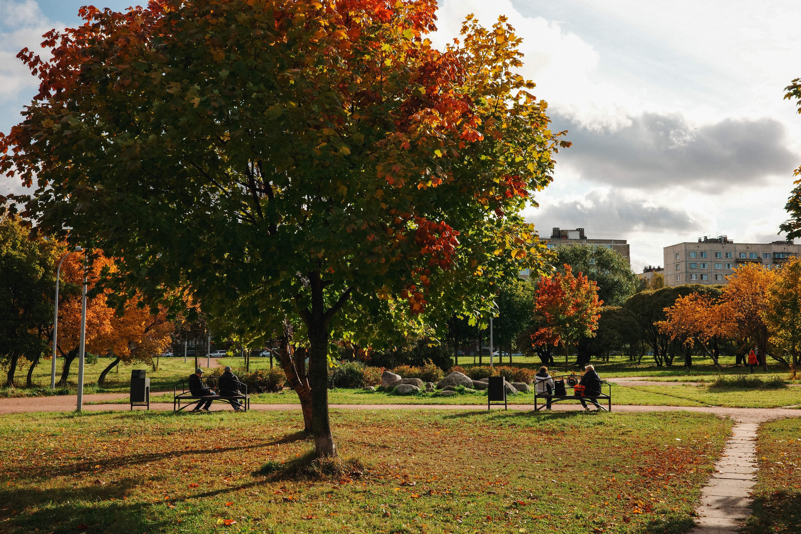 2024.10. Фотограф Алексей Алексеев