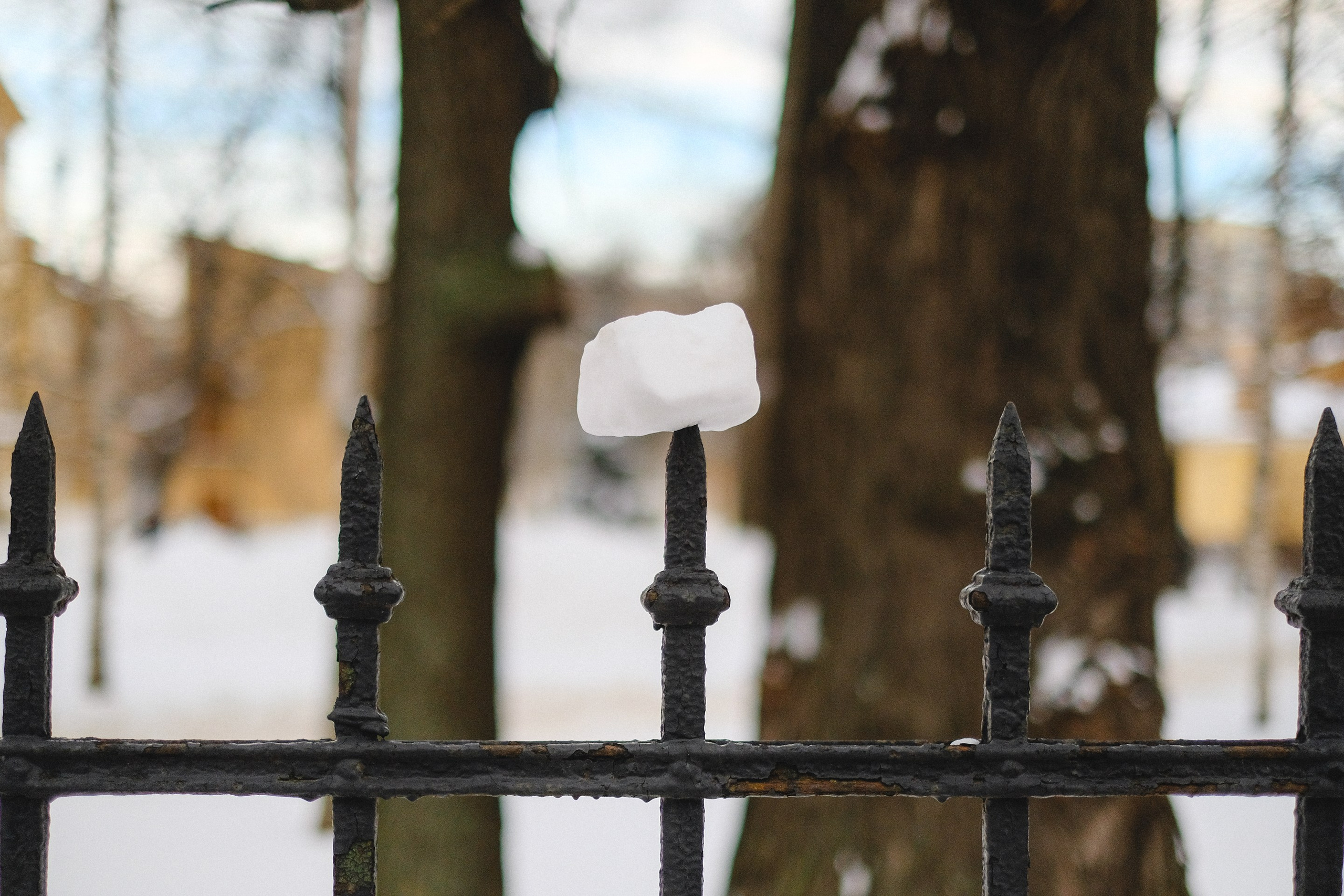 2021.12. Фотограф Алексей Алексеев