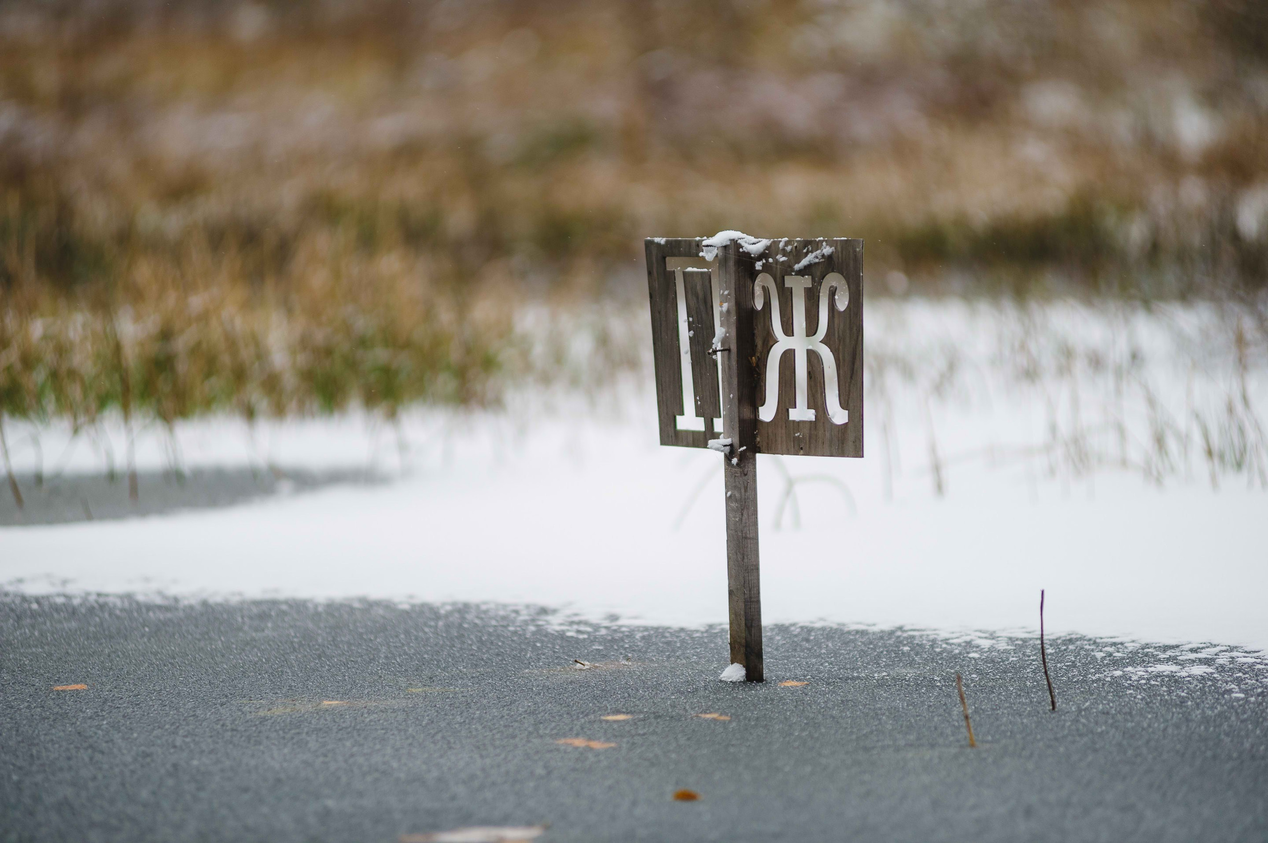 2023.10.28-29 — Кубок Санкт-Петербурга по трофи-рейдам 2023 — 1 день. Фотограф Алексей Алексеев