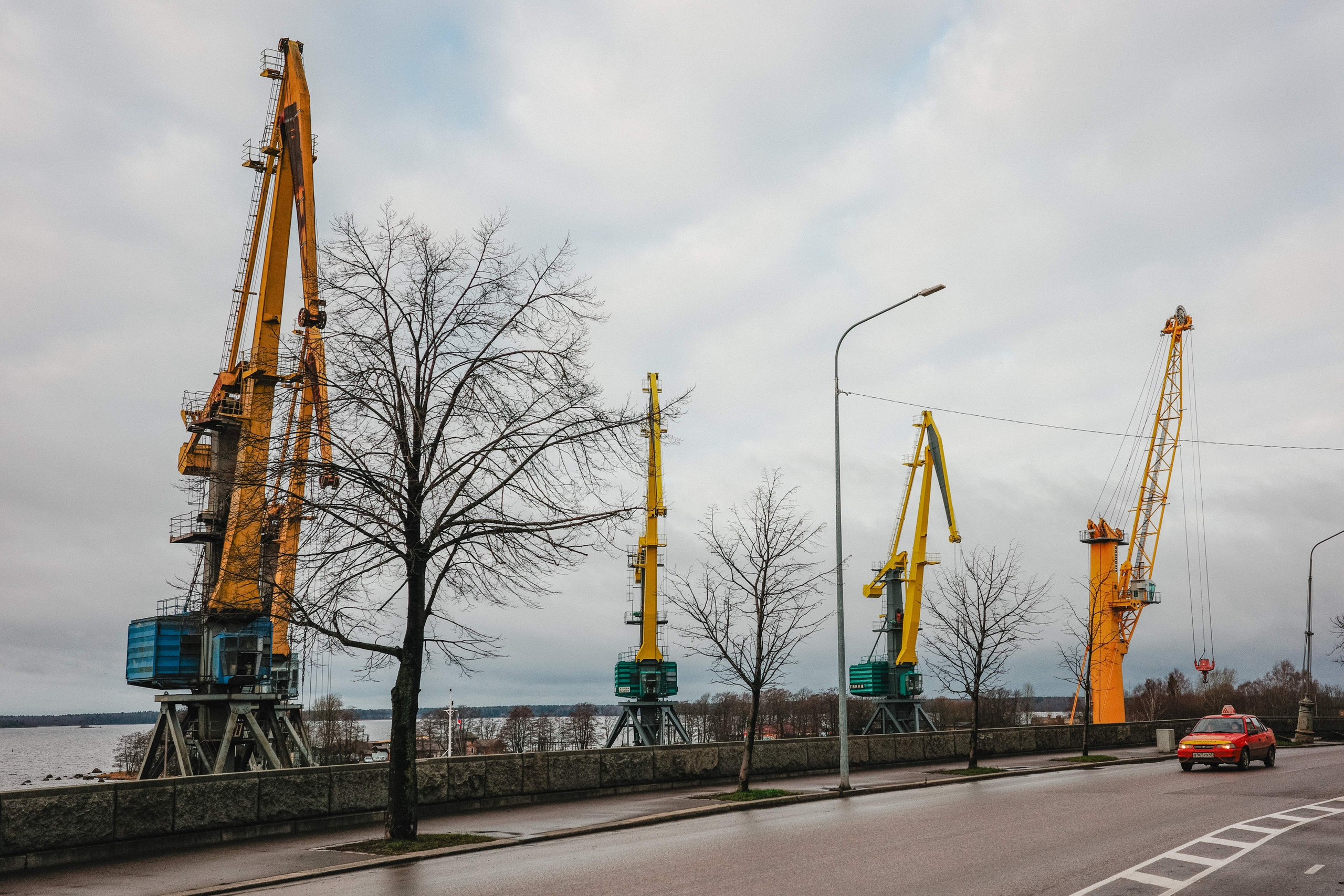 2024.11. Фотограф Алексей Алексеев