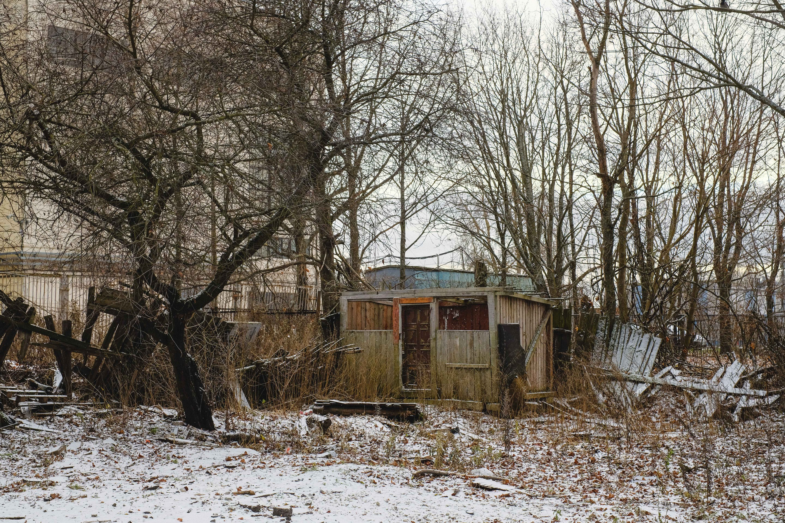 2022.11. Фотограф Алексей Алексеев