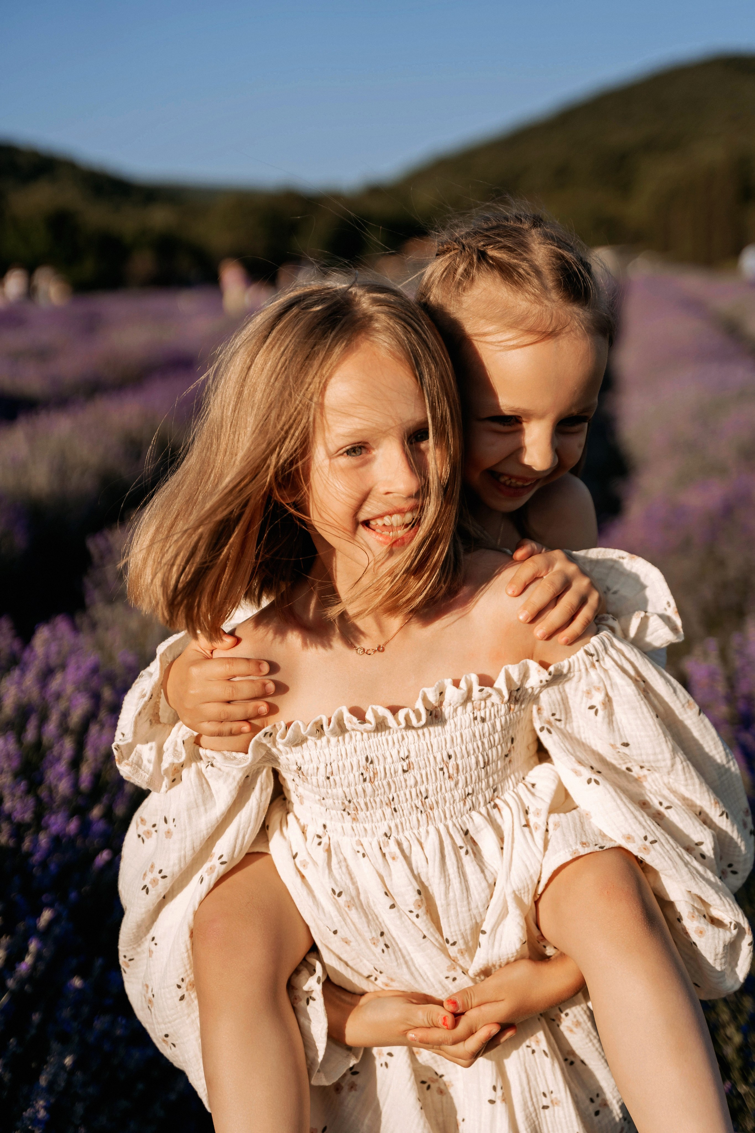 Лаванда. Татьяна Тагель