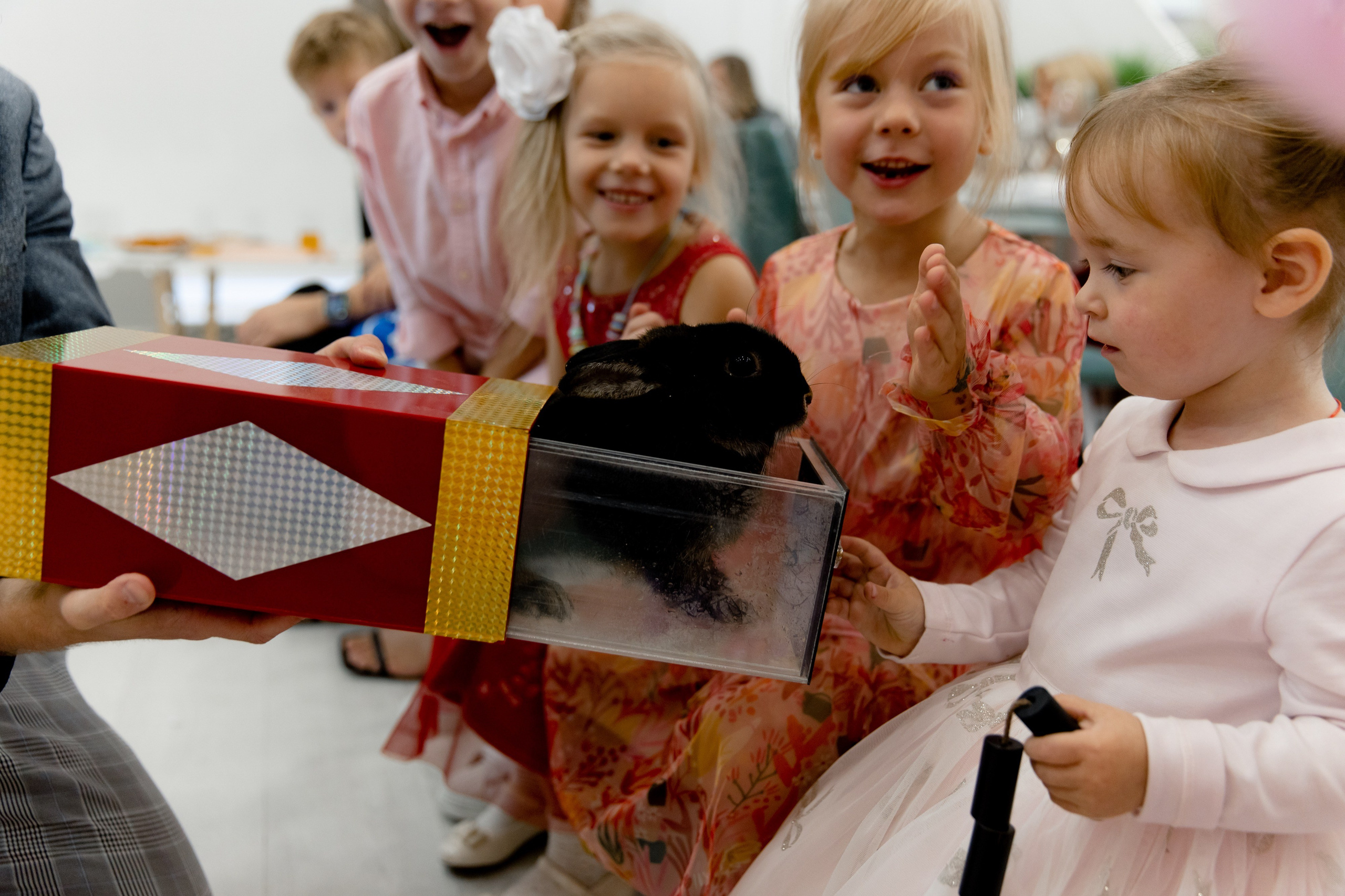 Стефания 2 года. Фотограф Роман Полянин