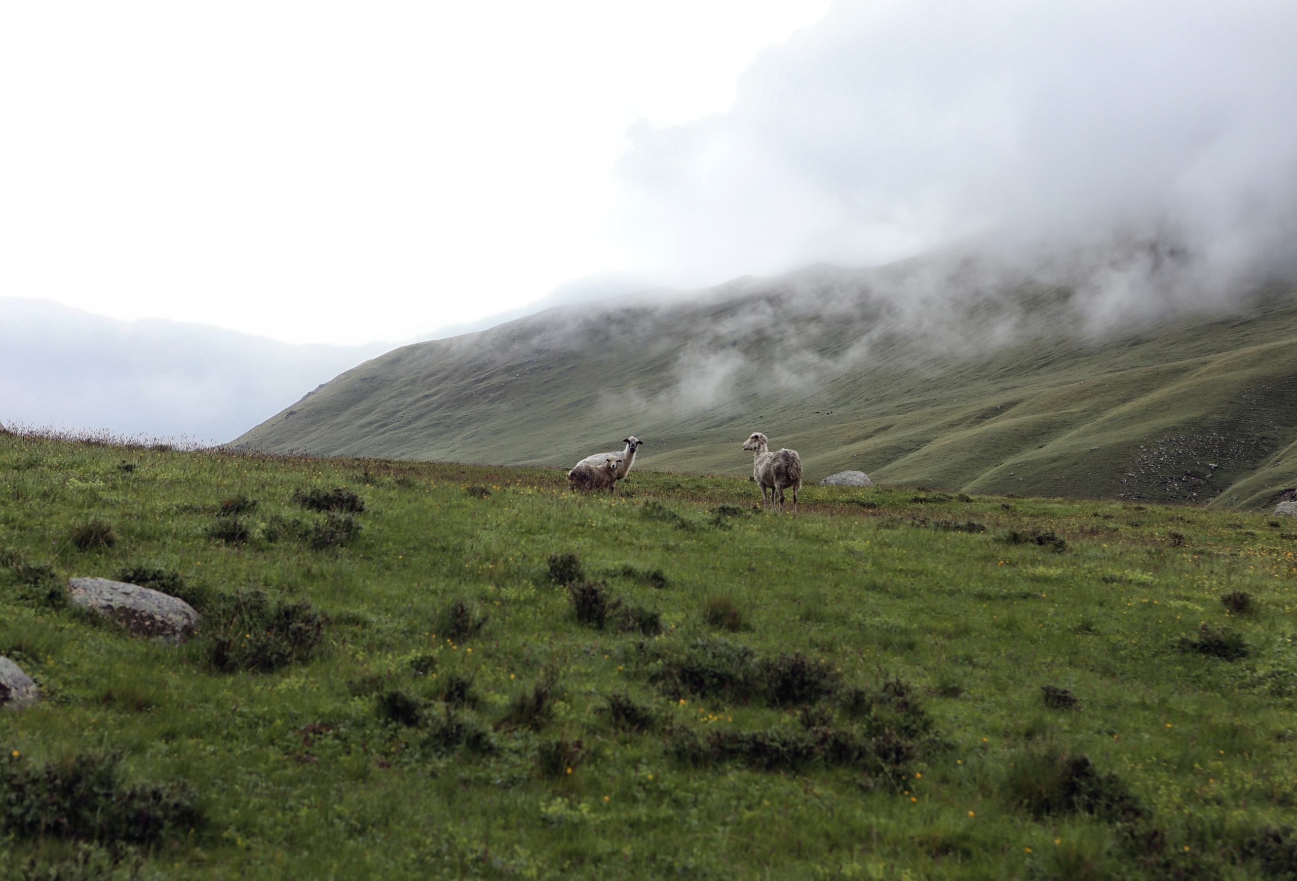 Пейзаж. Фотограф Наталья Туева FineArt съёмка