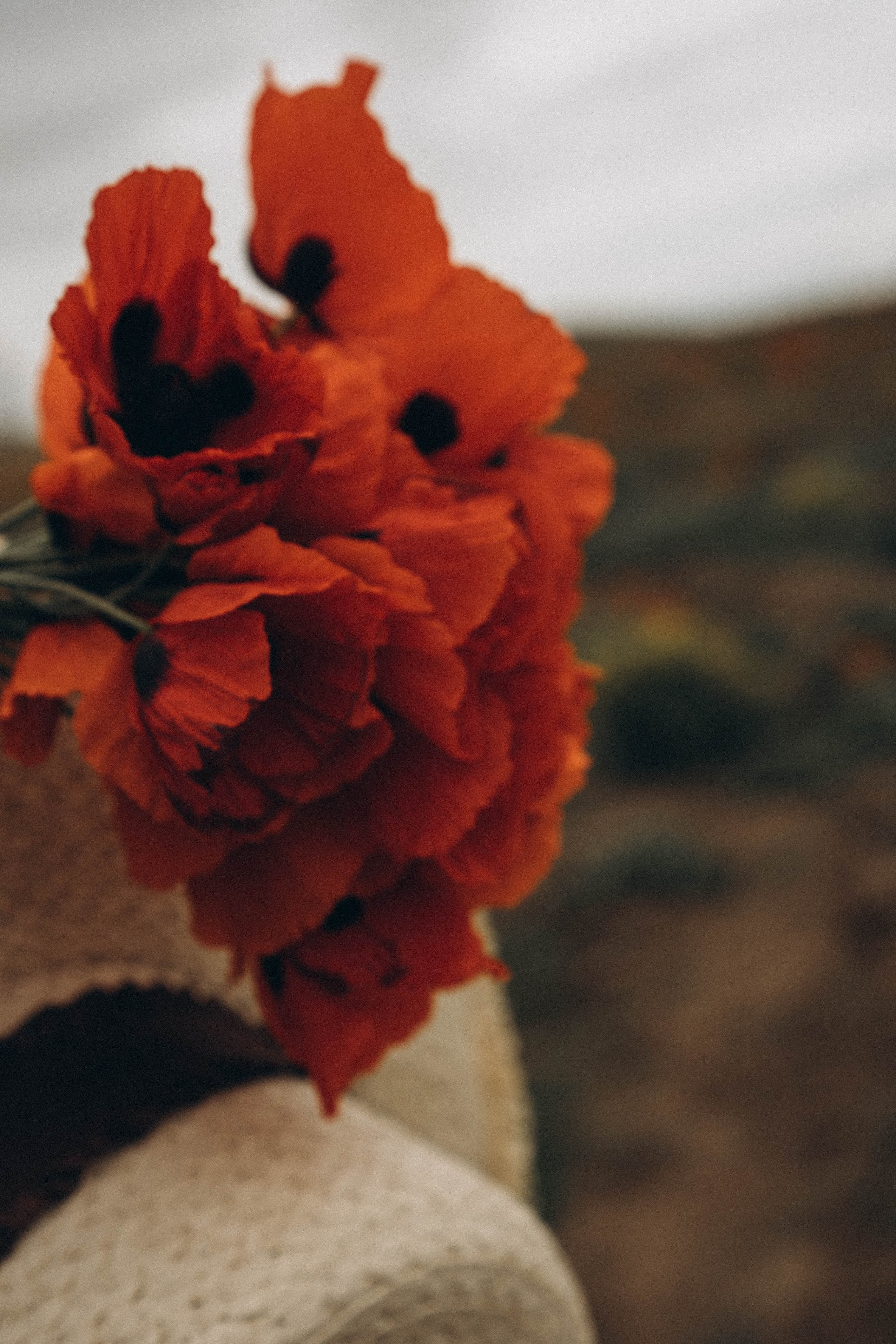 Кавказ. Профессиональный фотограф, Санкт-Петербург — Виктория Богомолова