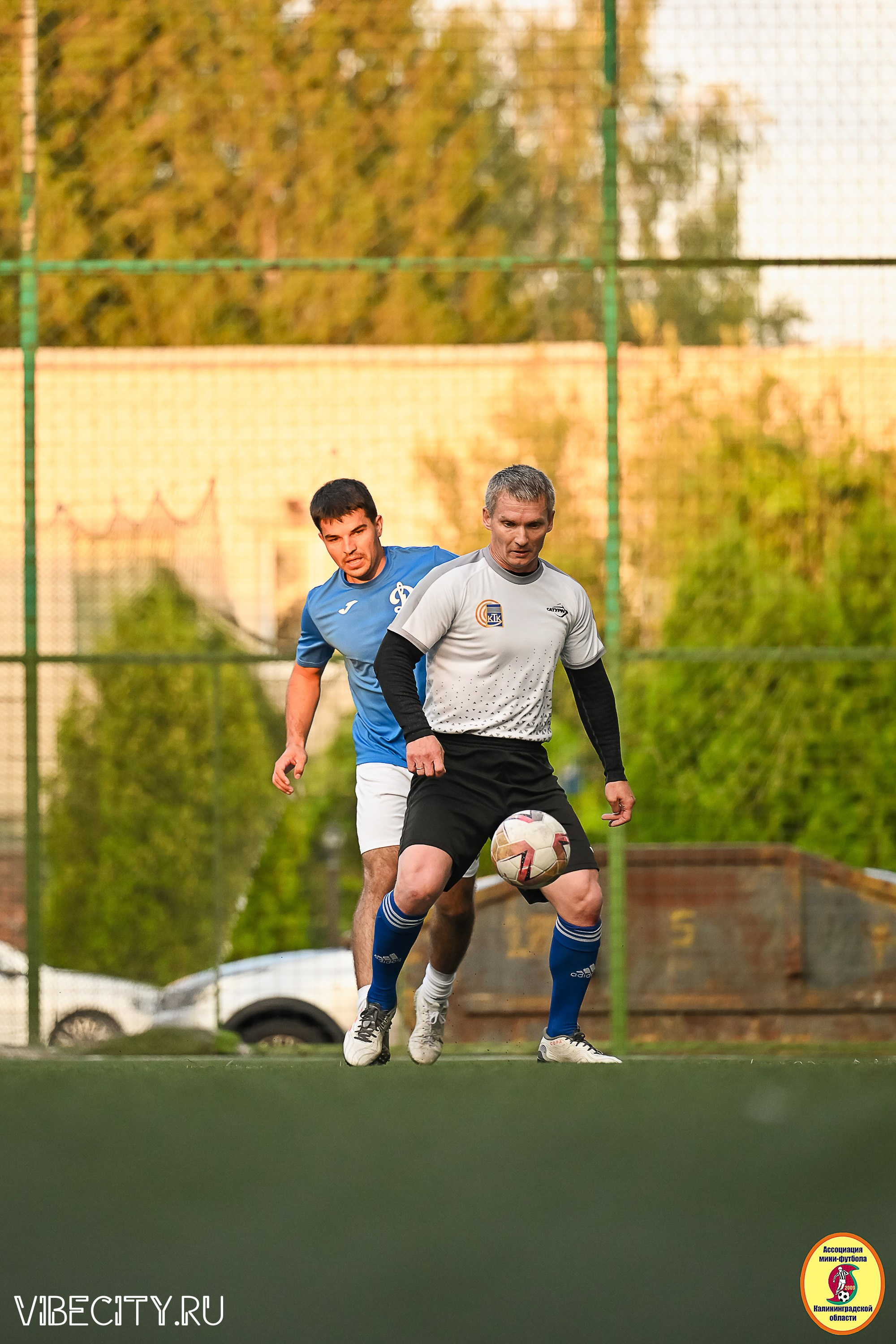 ИГРЫ ПЛЕЙ-ОФФ ПЕРВОГО ДИВИЗИОНА МИНИ-ФУТБОЛЬНОЙ ЛИГИ. VIBECITY.RU Вайб Сити Ру Фоторепортажи Фотоотчеты Калининград
