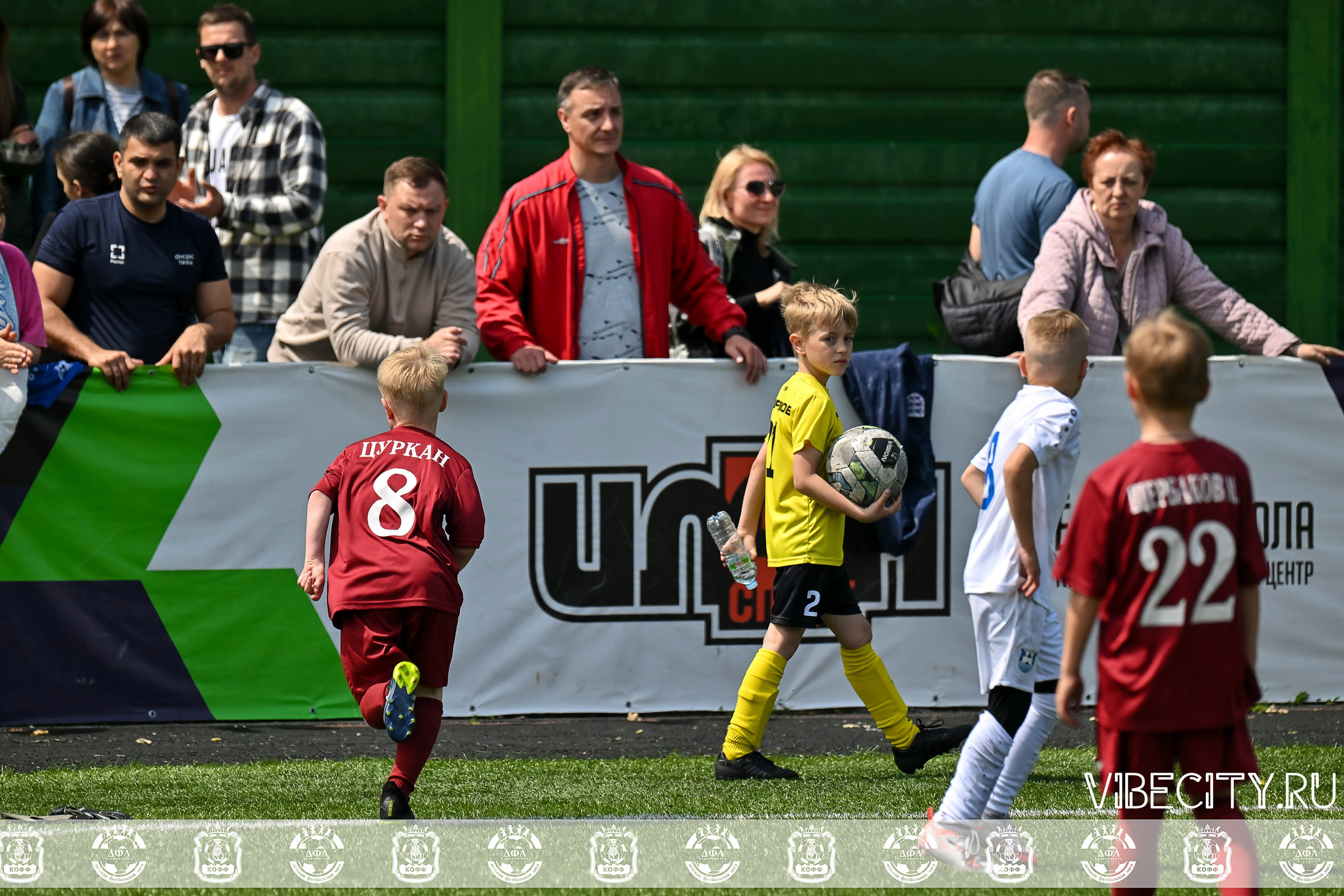 Большие Звезды светят Малым. VIBECITY.RU Вайб Сити Ру Фоторепортажи Фотоотчеты Калининград