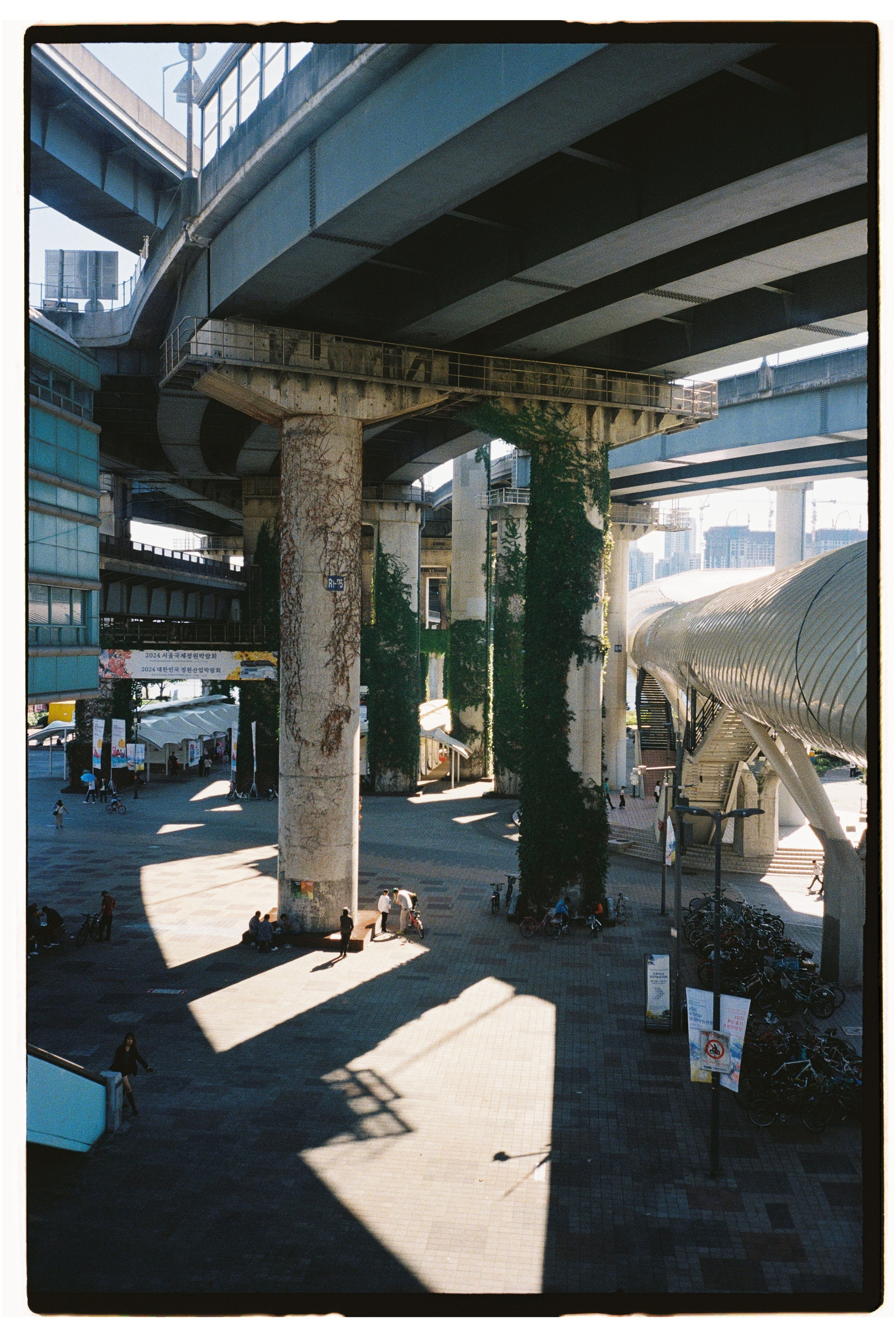 South Korea. @tomrus: Рустам Шагиморданов — фотограф