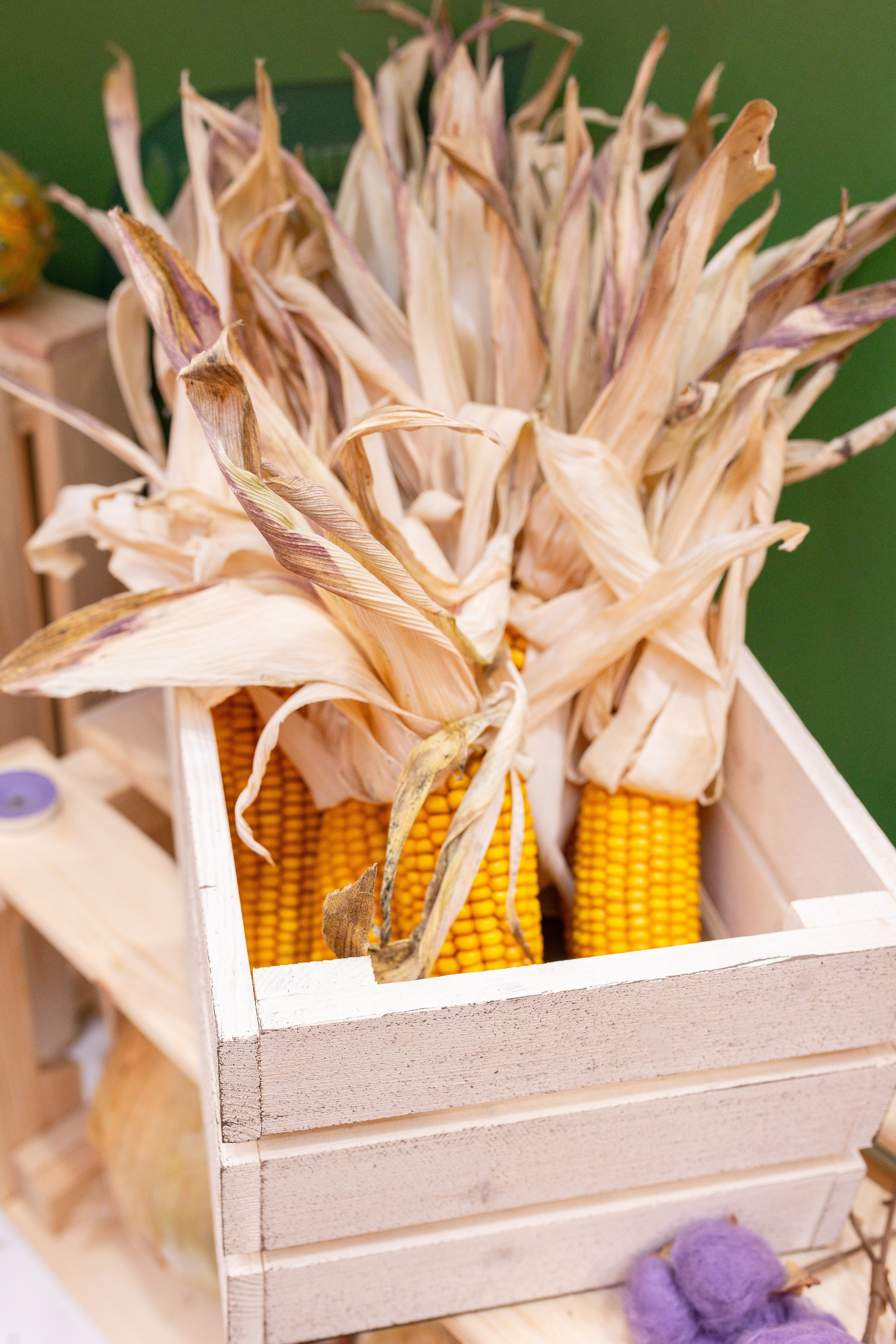 Овощи-гиганты. Александра Куликова фотограф, Москва